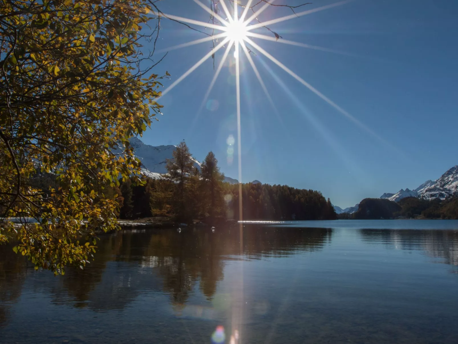 Culögnas 19-Image-tags.info