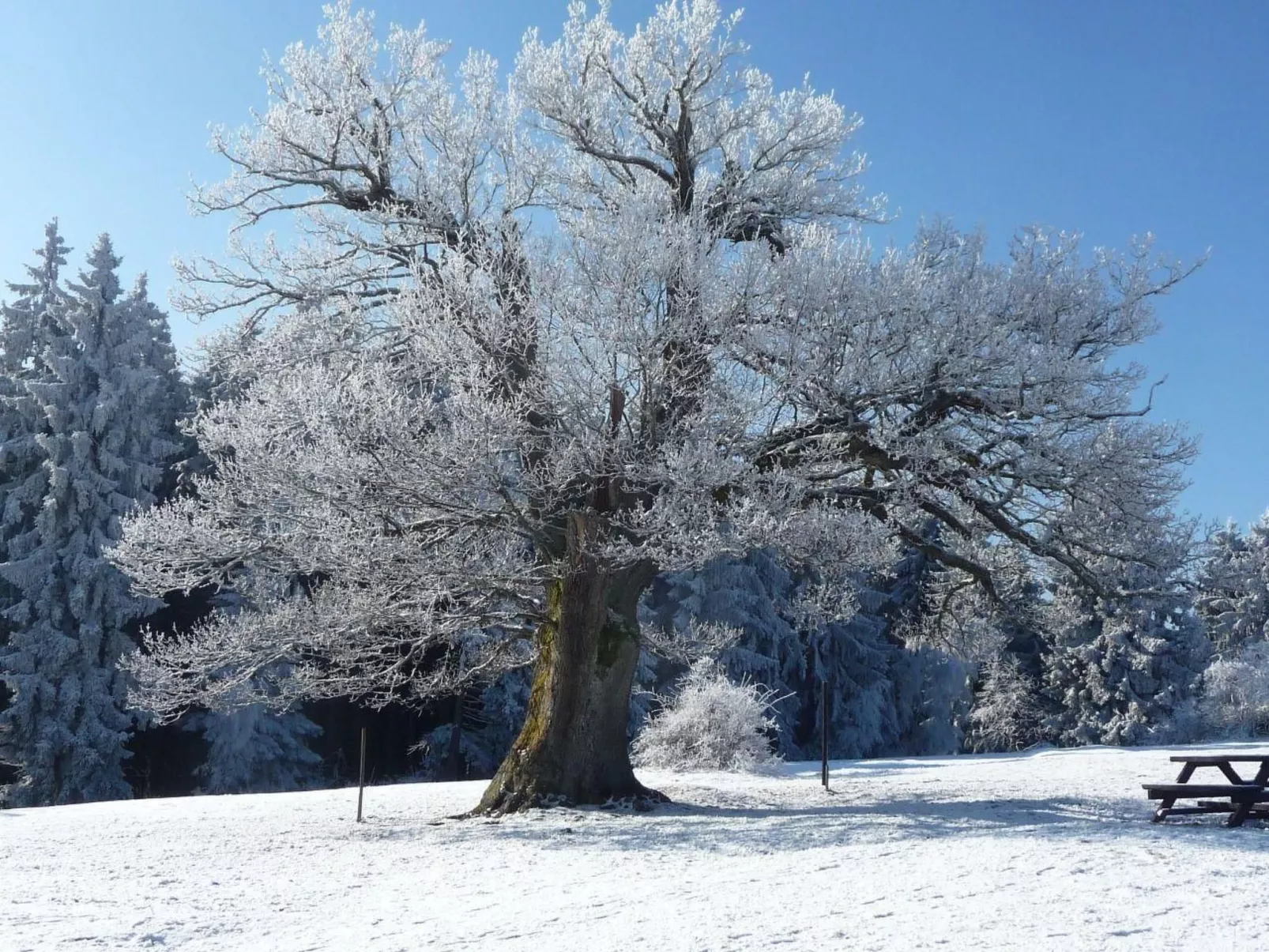 Harz-Haus-Bruns-Buiten
