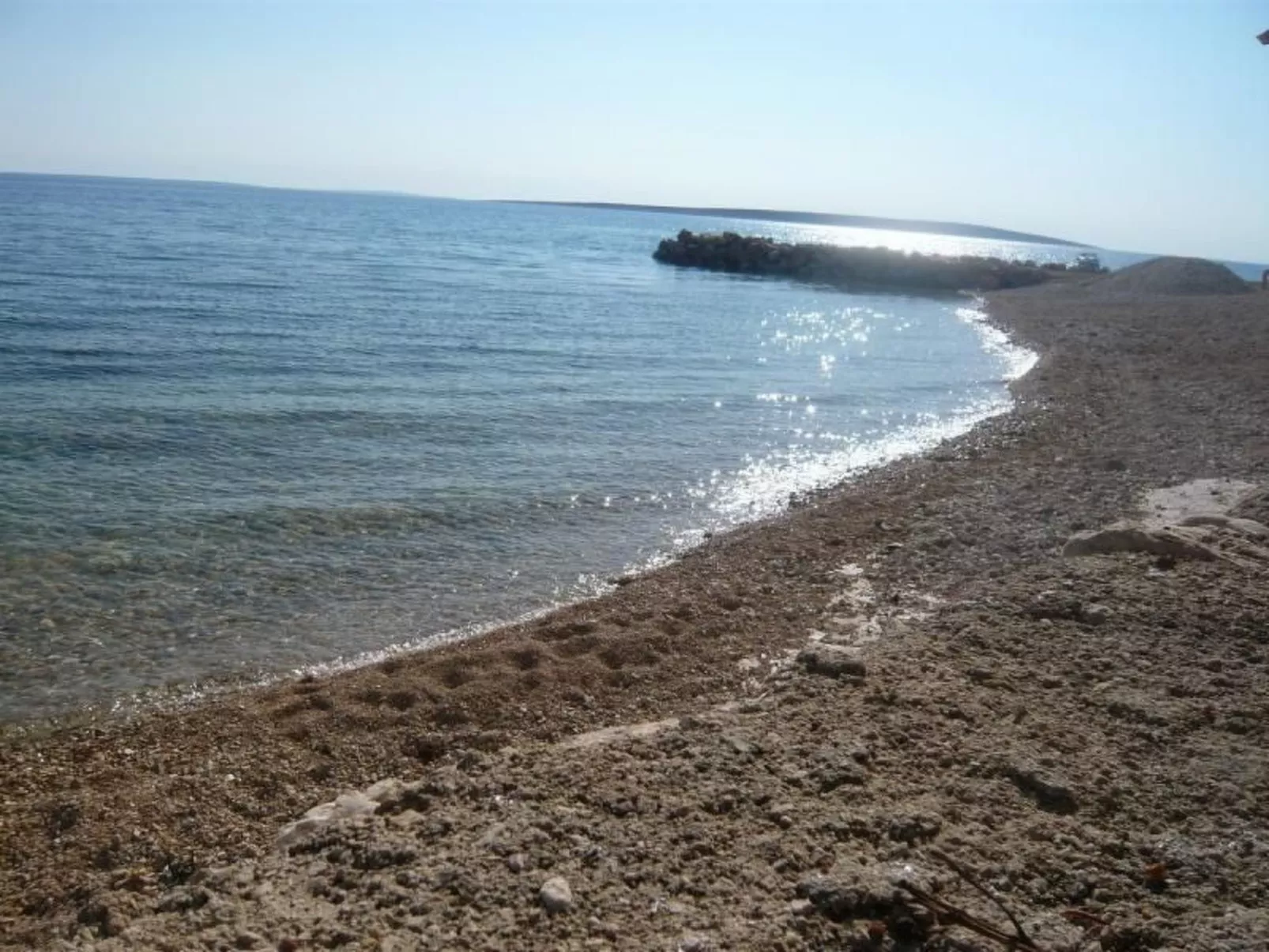 "Mia" mit Blick auf das Wasser