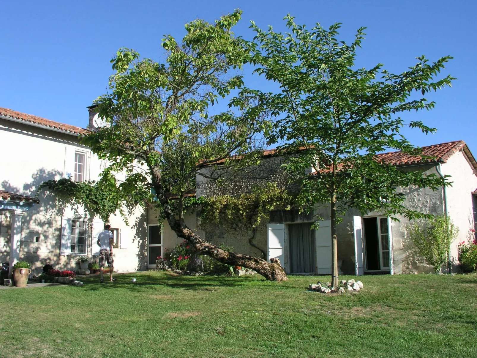 Swimmingpool, Garten, Aussicht, Stille, Kinder, Spielzeug