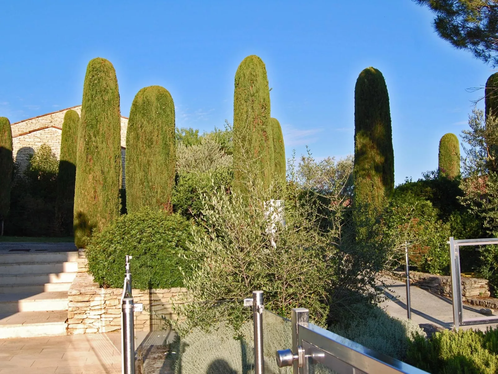 Cypres du Paradis-Buiten