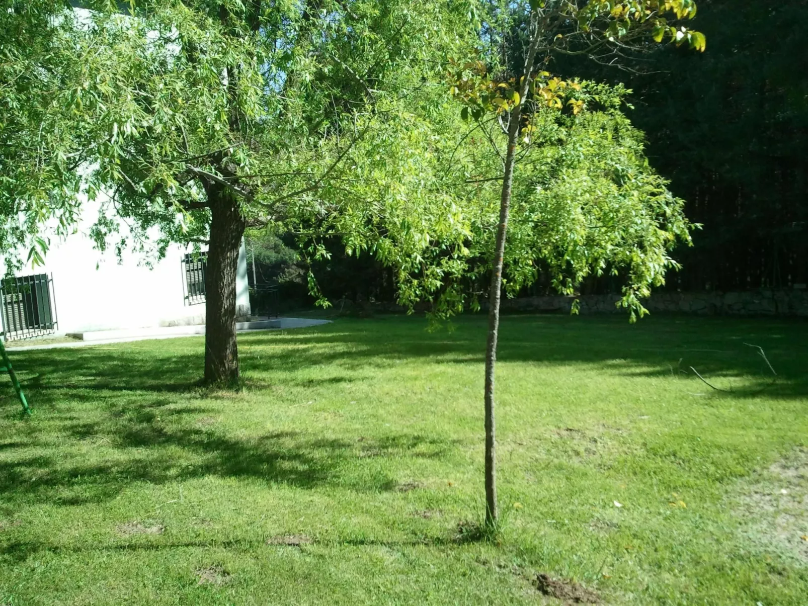 Ländliche Finca "La Vista de Gredos II"-Buiten