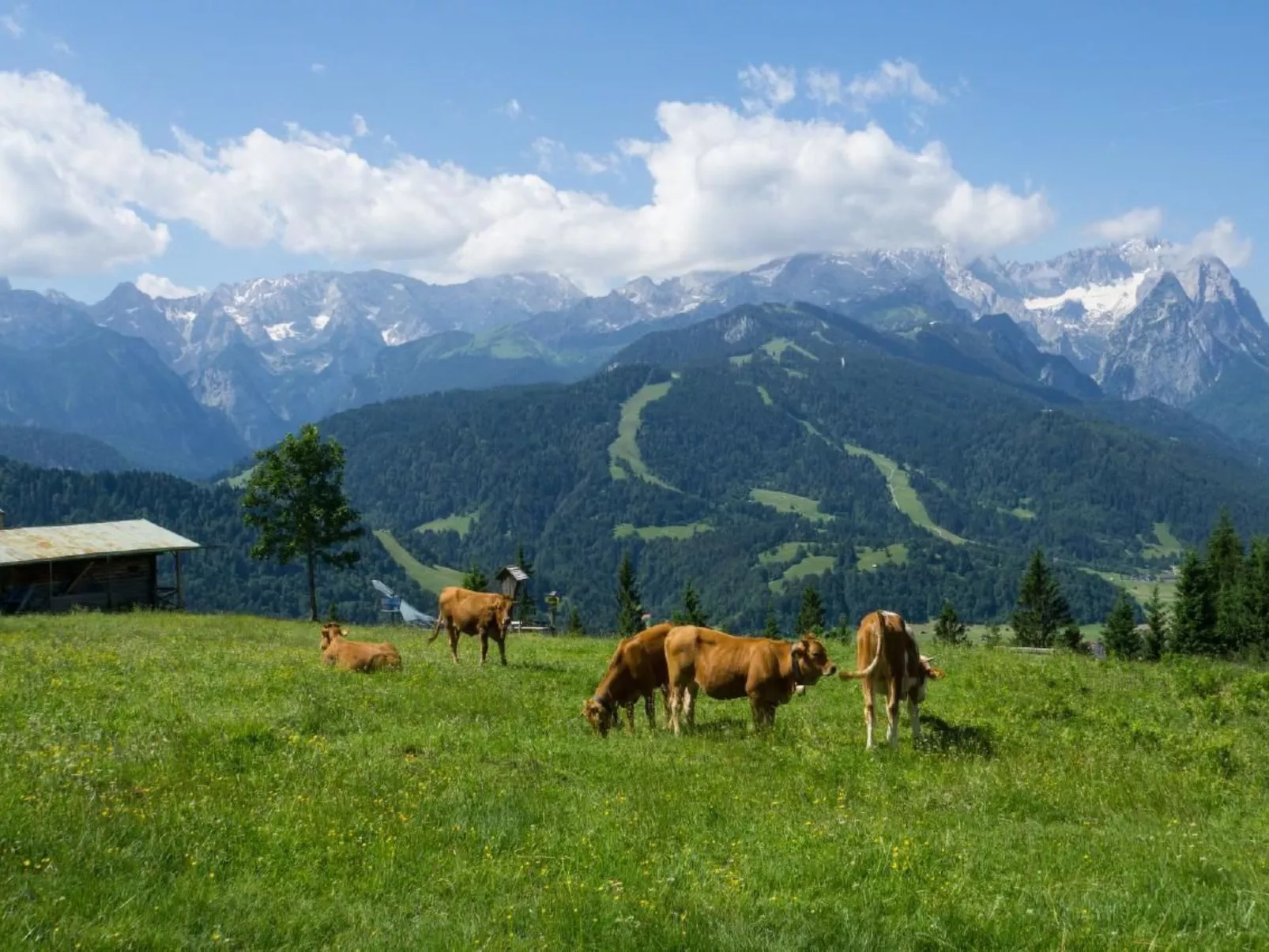 Fewo Zugspitze-Buiten