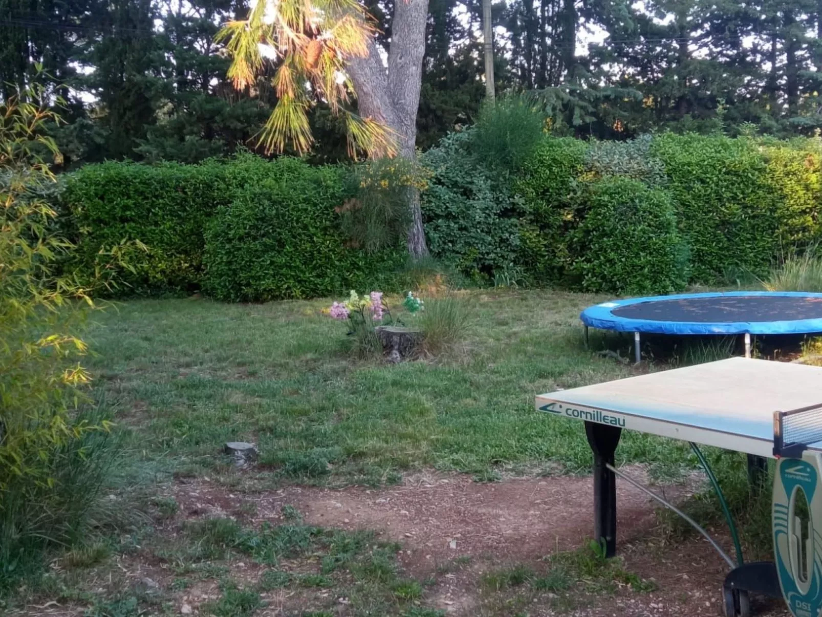 La petite maison sous les pinins-innenpool-Buiten