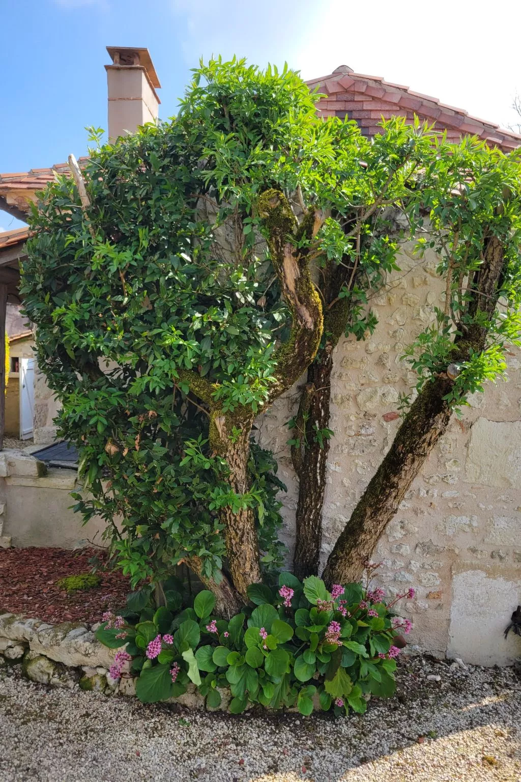 Domaine des Prairies de Latry-Buiten