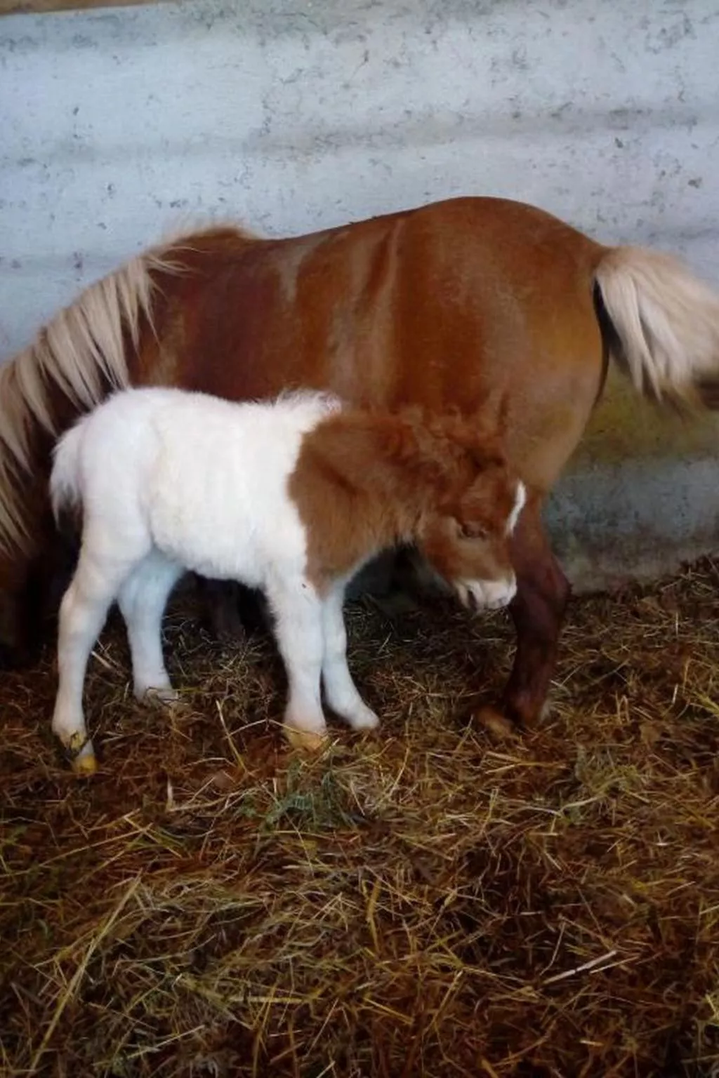 Fabelhafter Pool in einer atemberaubenden Landschaft-Image-tags.info