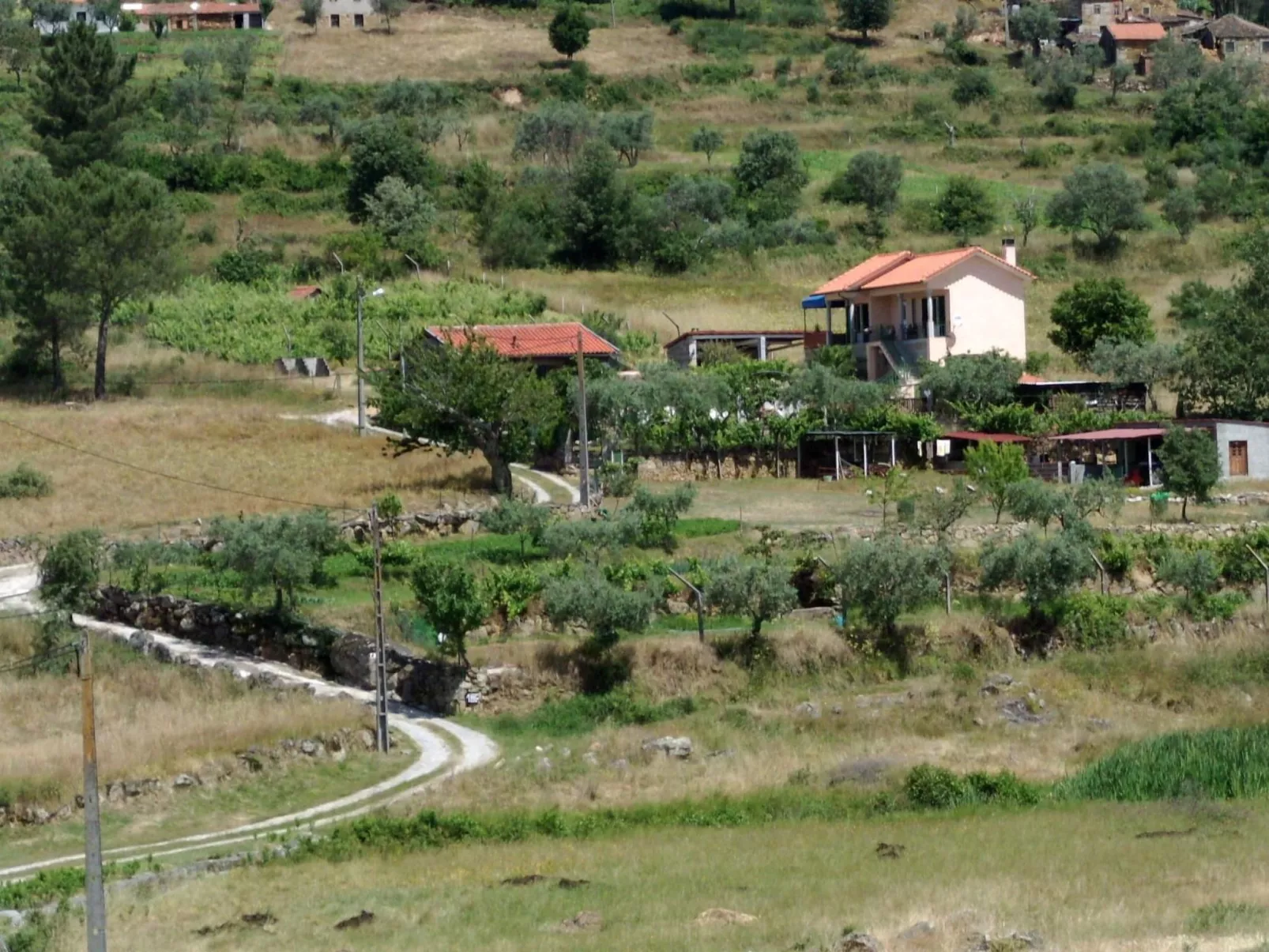 Ferien auf dem Bauernhof mit Weinberg-Image-tags.info