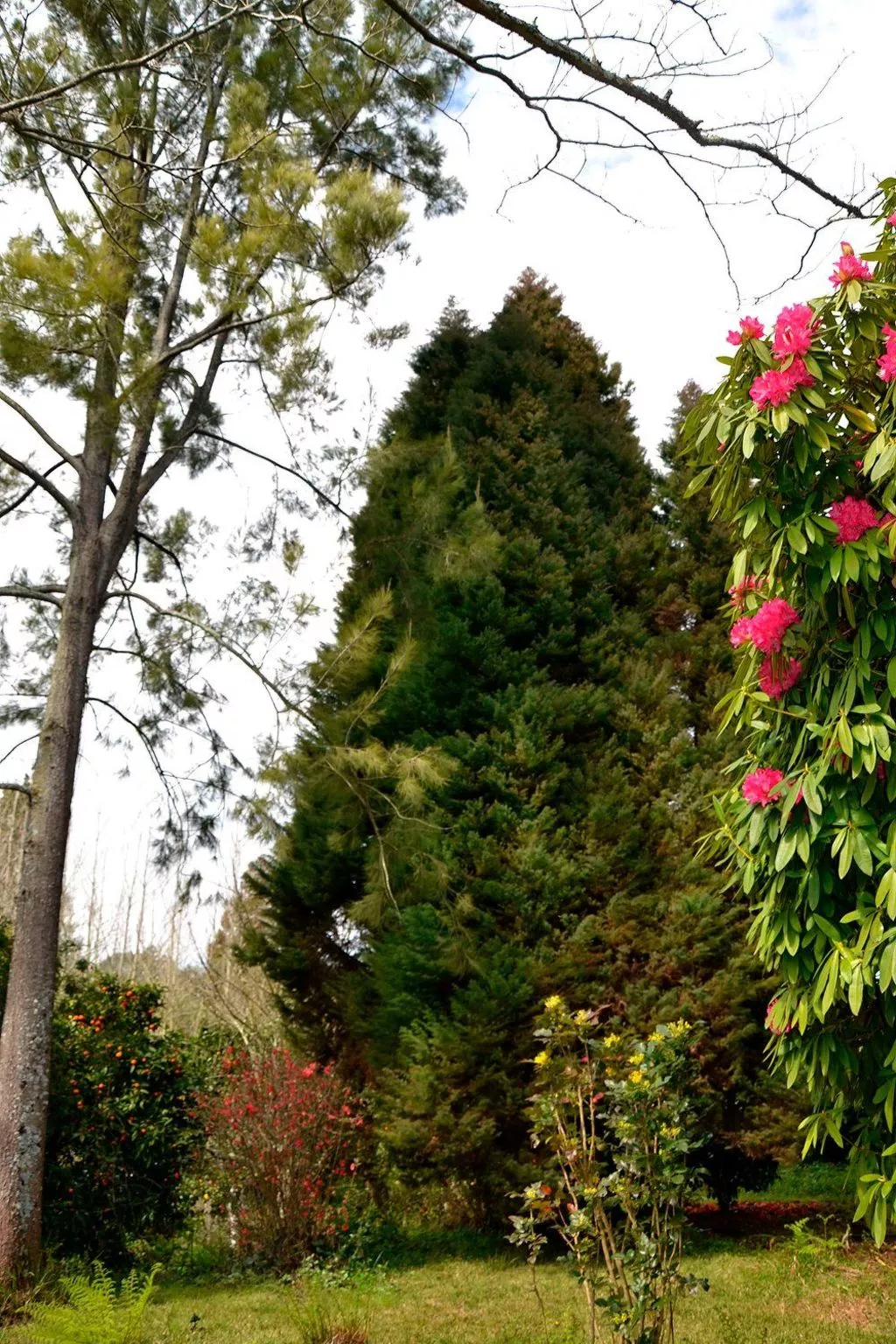 Quinta D'Avó Amélia, wunderschönes Landhaus zwischen den Bergen und dem Meer-Image-tags.info