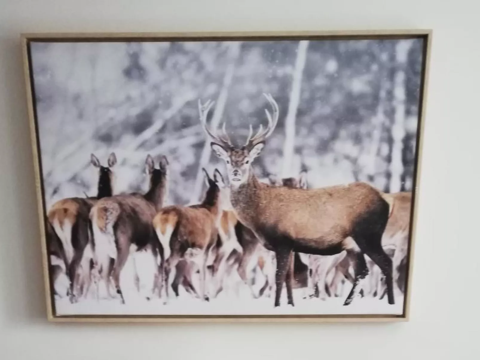 Chalet 3 Zi. in ruhiger Lage, in der Nähe von Verbier-Binnen