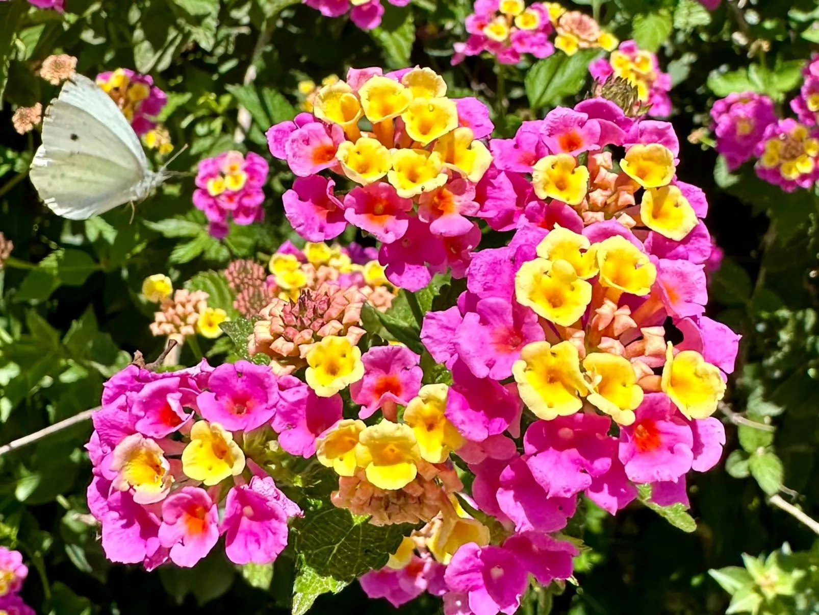 Prächtige Villa in spektakulärer Lage