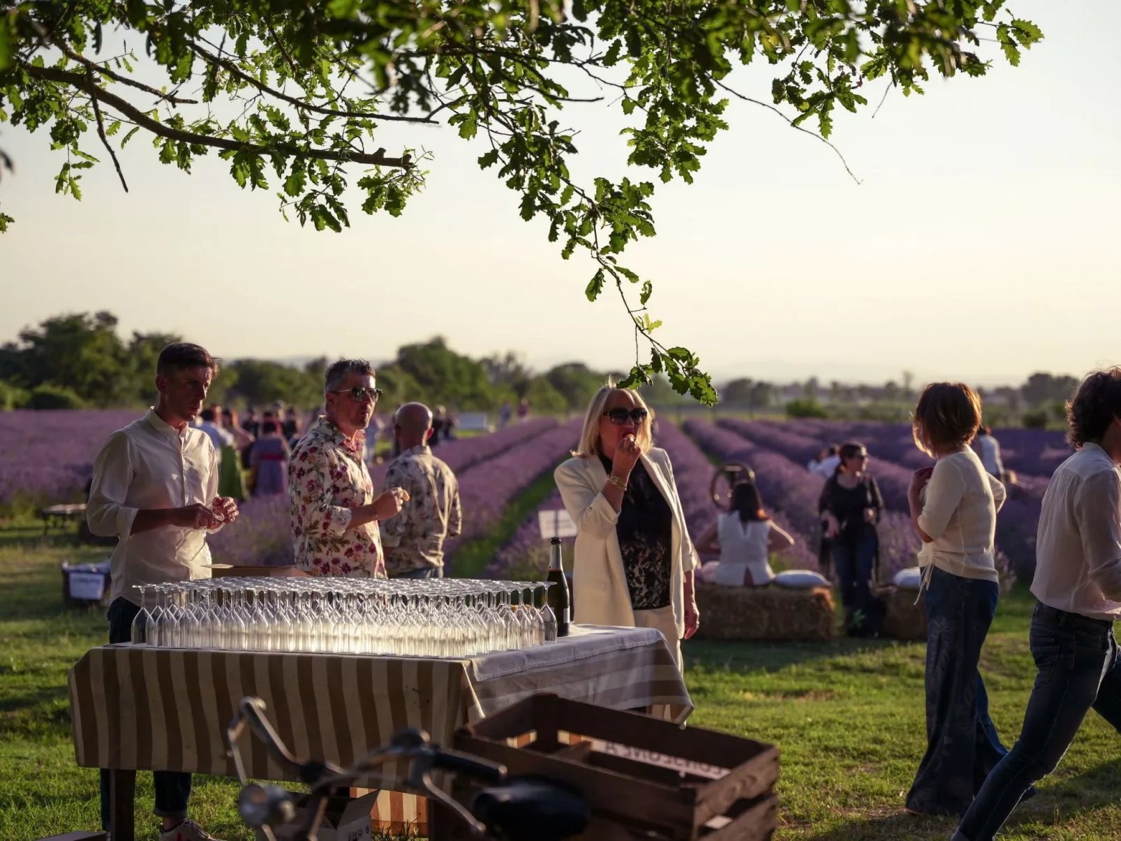 'Molinello albicocco'-Buiten