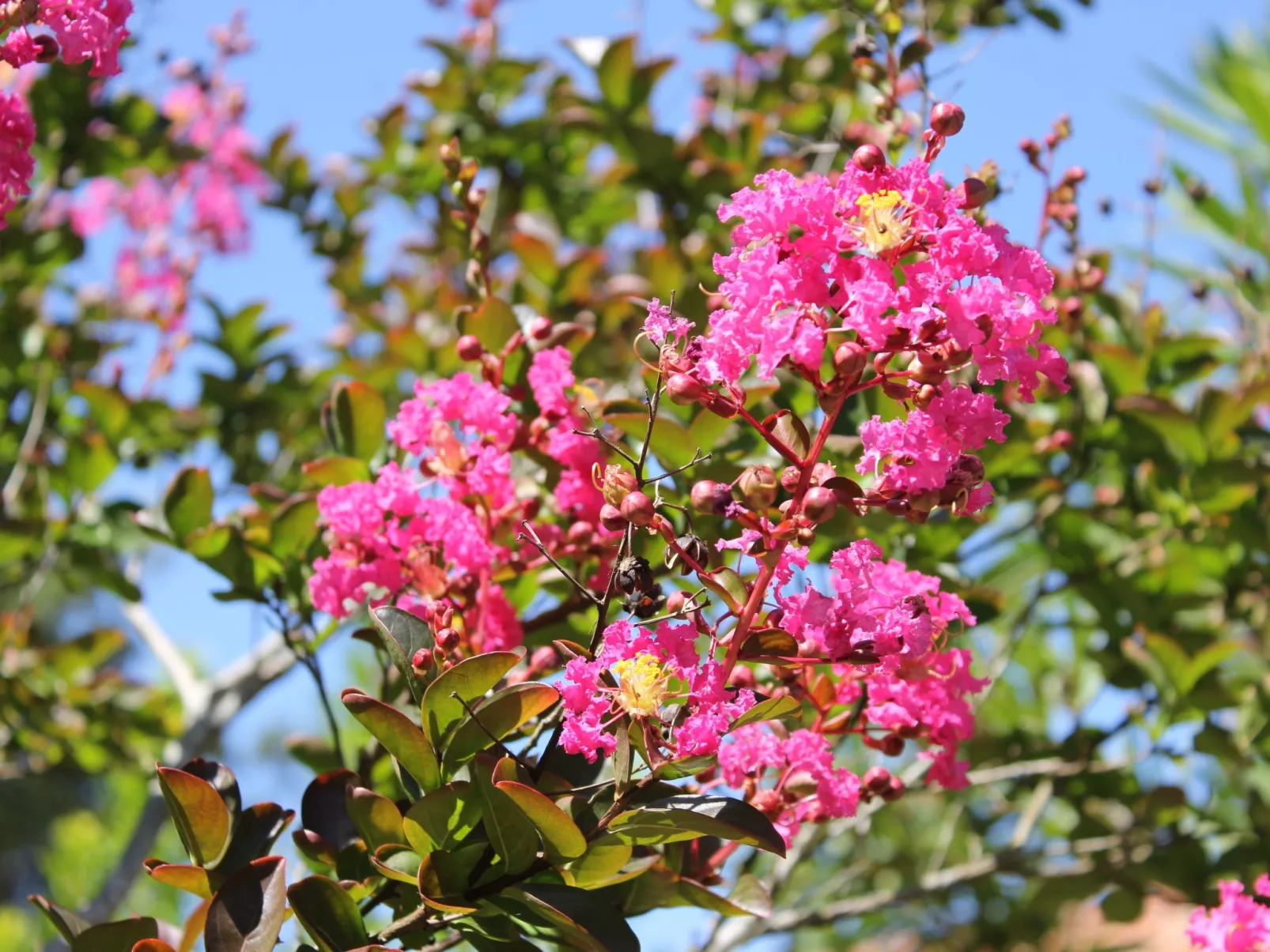 Villa "La Belle Vie"-Buiten