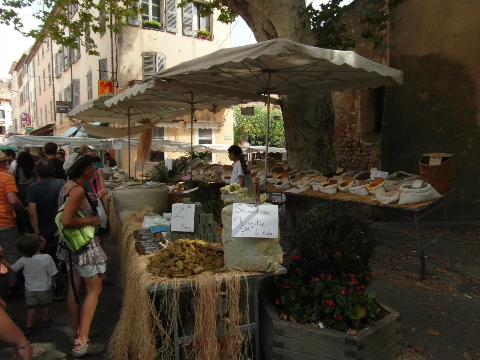 Pin parasol-Image-tags.info