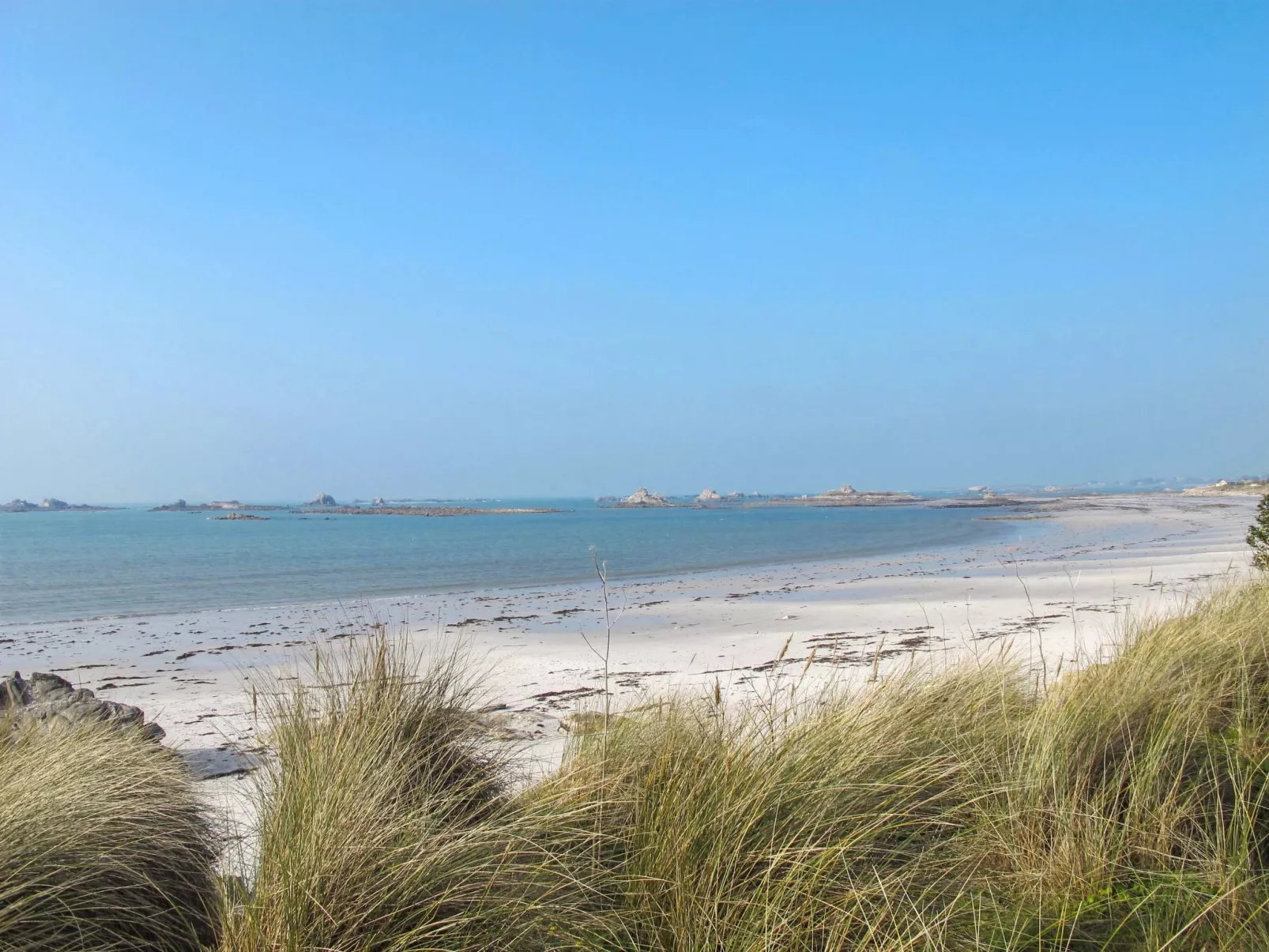 Ein Haus auf der Düne, direkter Zugang zum Strand-Omgeving