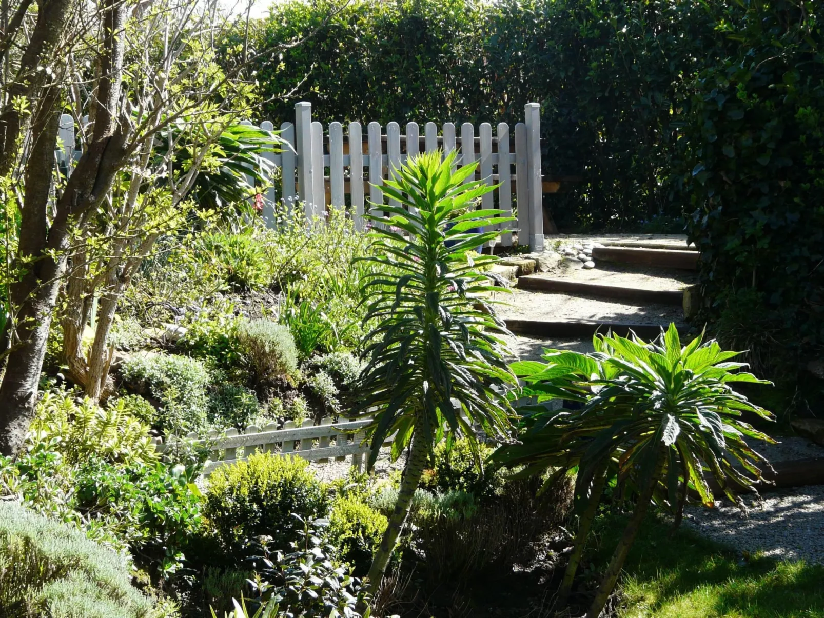 Mit Blick auf das Wasser-Buiten