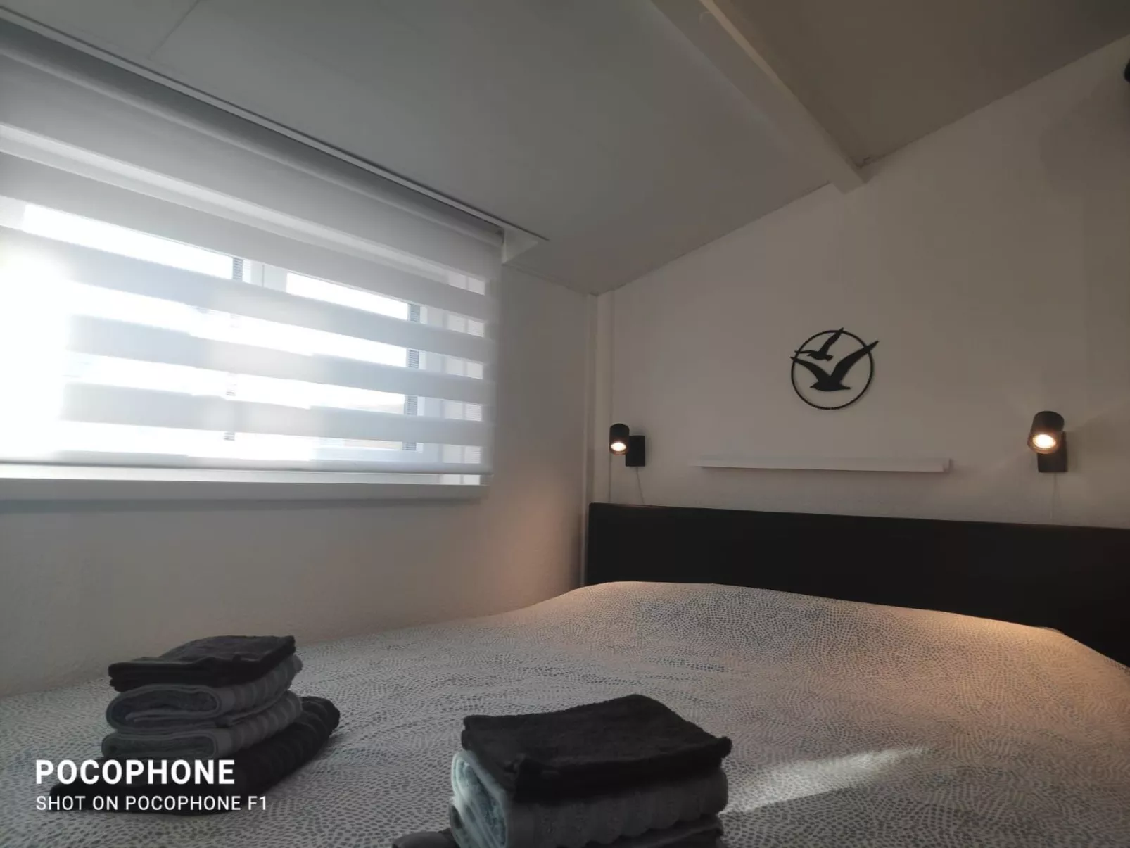 Jonathan Livingston Möwe Ferienhaus-Image-tags.info