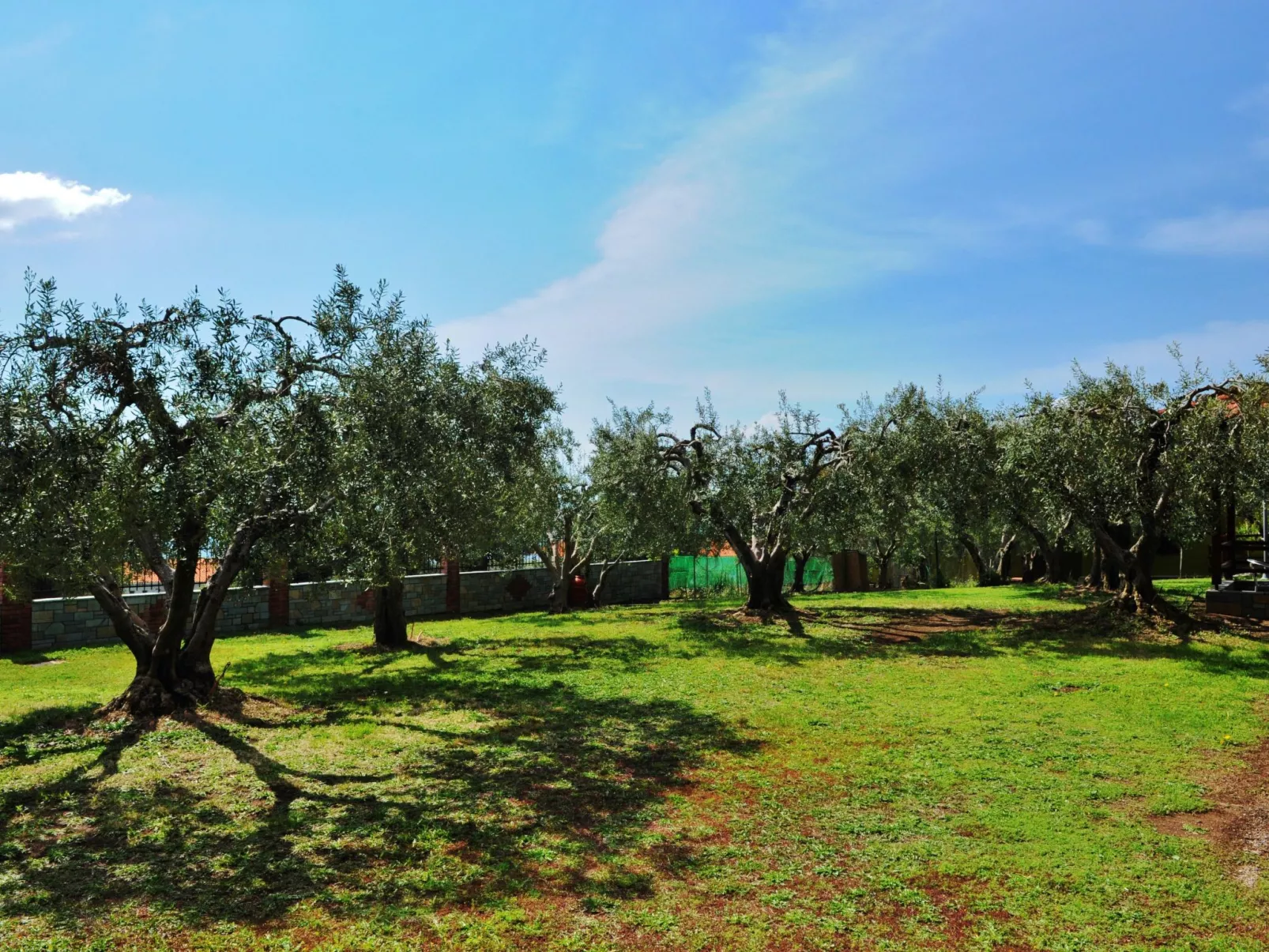 Superior Apartment mit 2 Schlafzimmern und Meerblick-Buiten