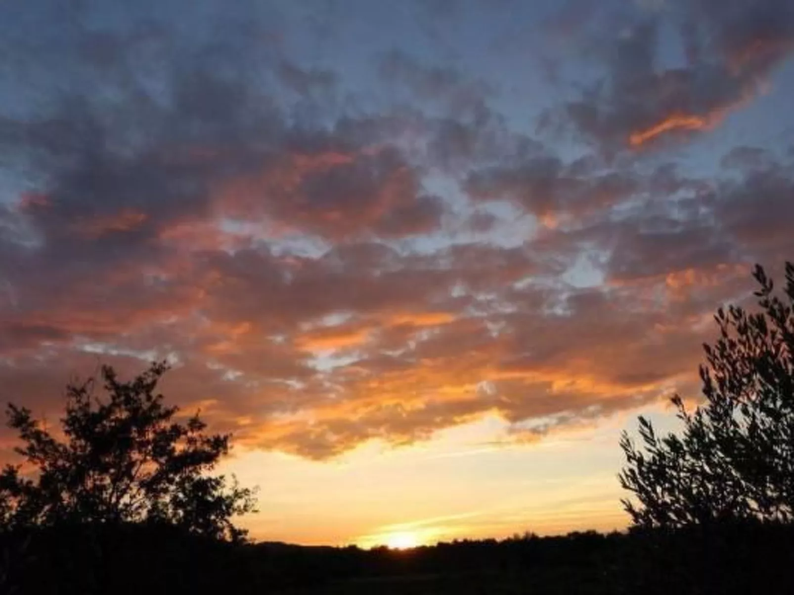 FERIENHAUS, FERIENHAUS "MAISON DE LAVANDE" (LAVENDELHAUS)-Buiten