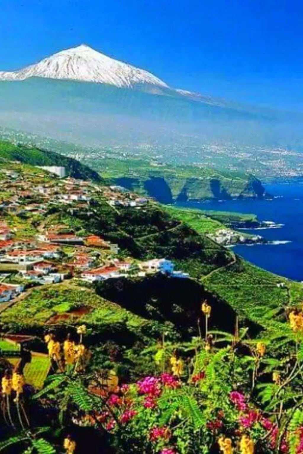 Luxuriöser Rückzugsort mit direktem Meerzugang und Pool-Buiten