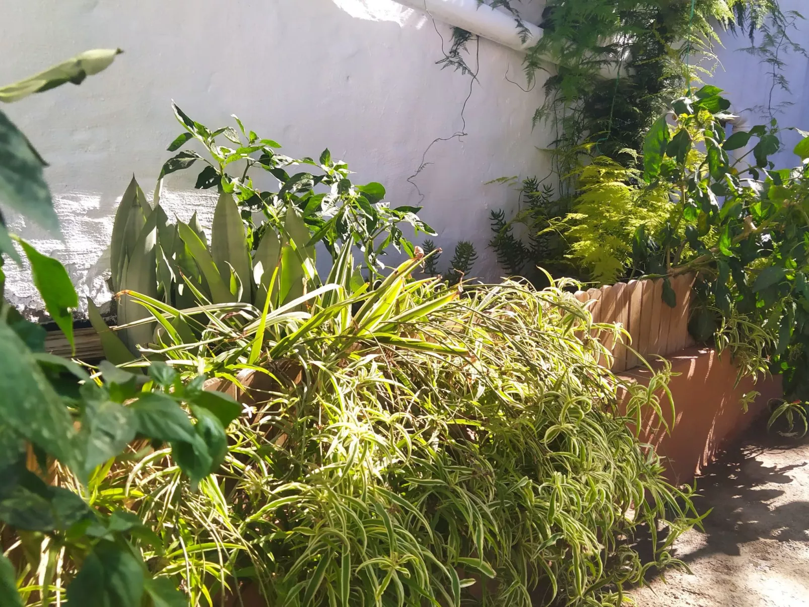 Edara Home - Haus mit privatem Garten-Buiten