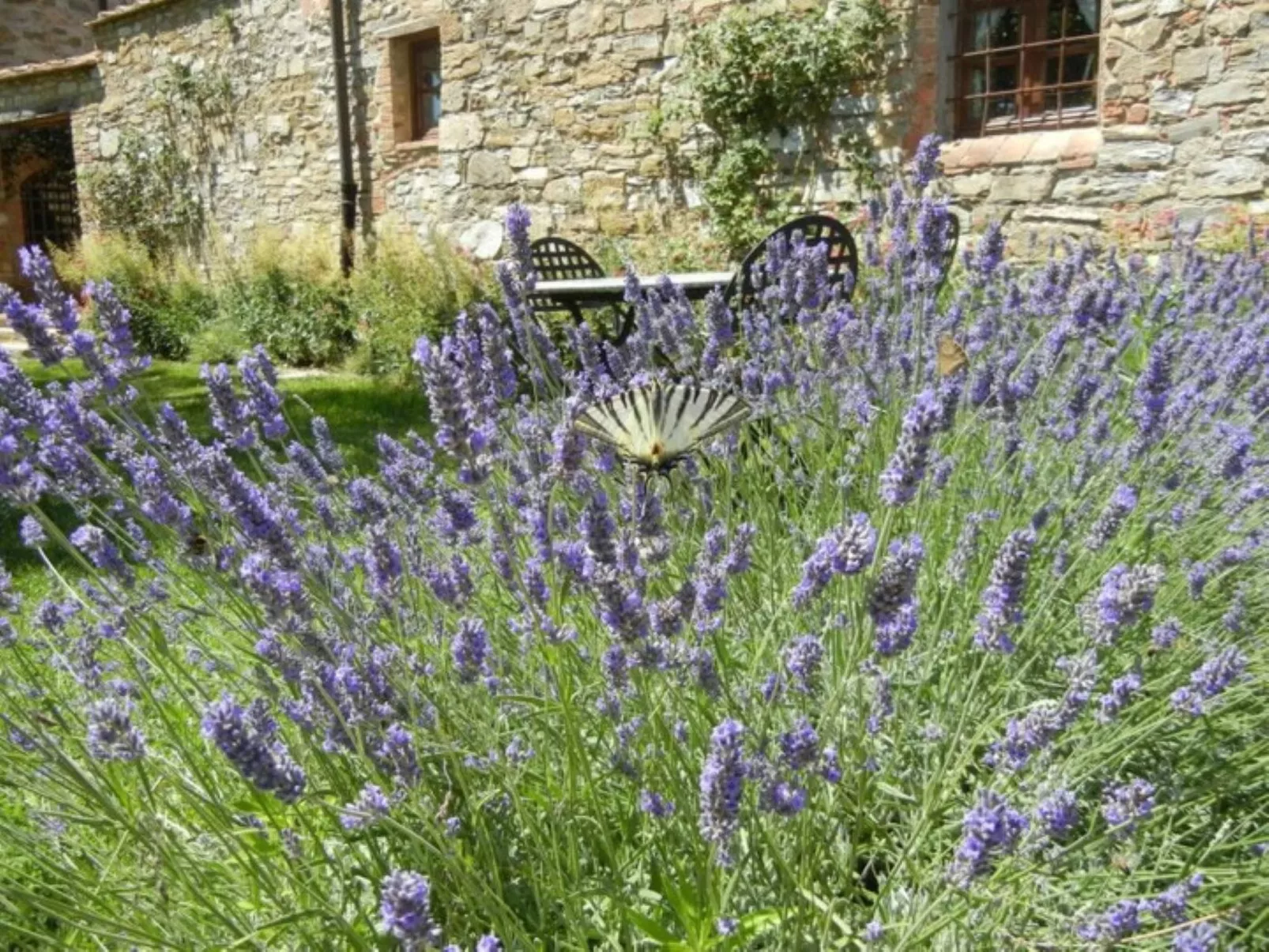 Apartment Lavanda 1 mit Veranda