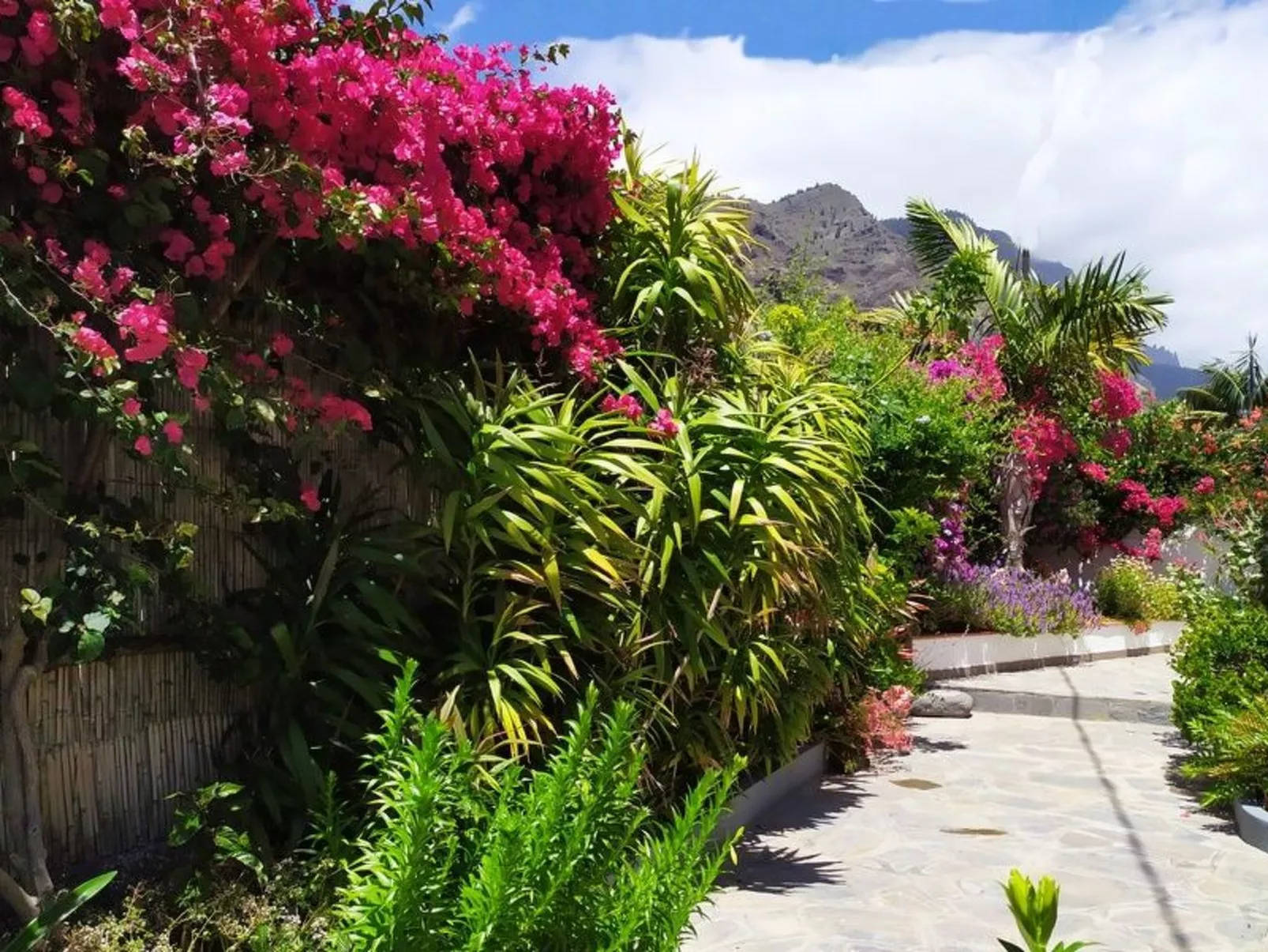 Haus Vista Caldera - Image-tags.info