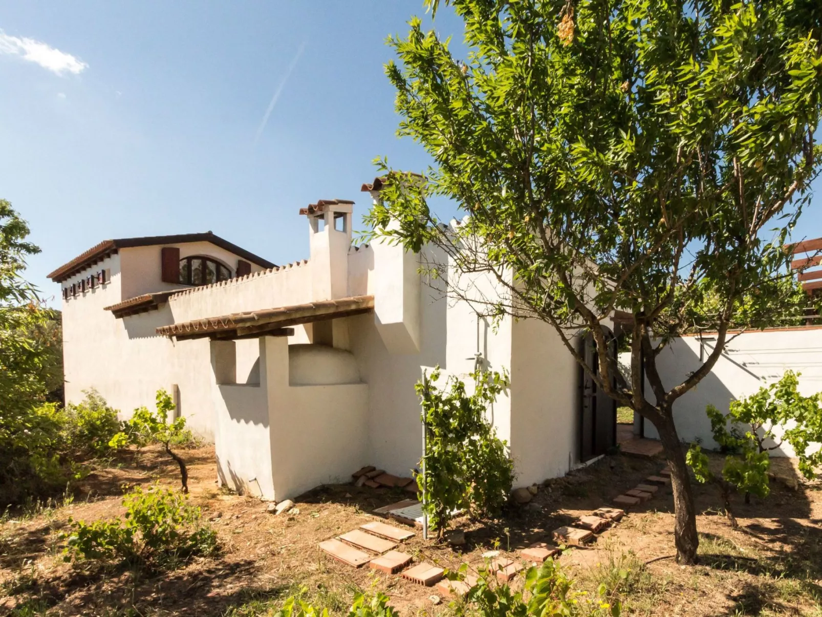 Natur, ökologische Nachhaltigkeit, nur für Erwachsene, Meer in der Nähe-Image-tags.info