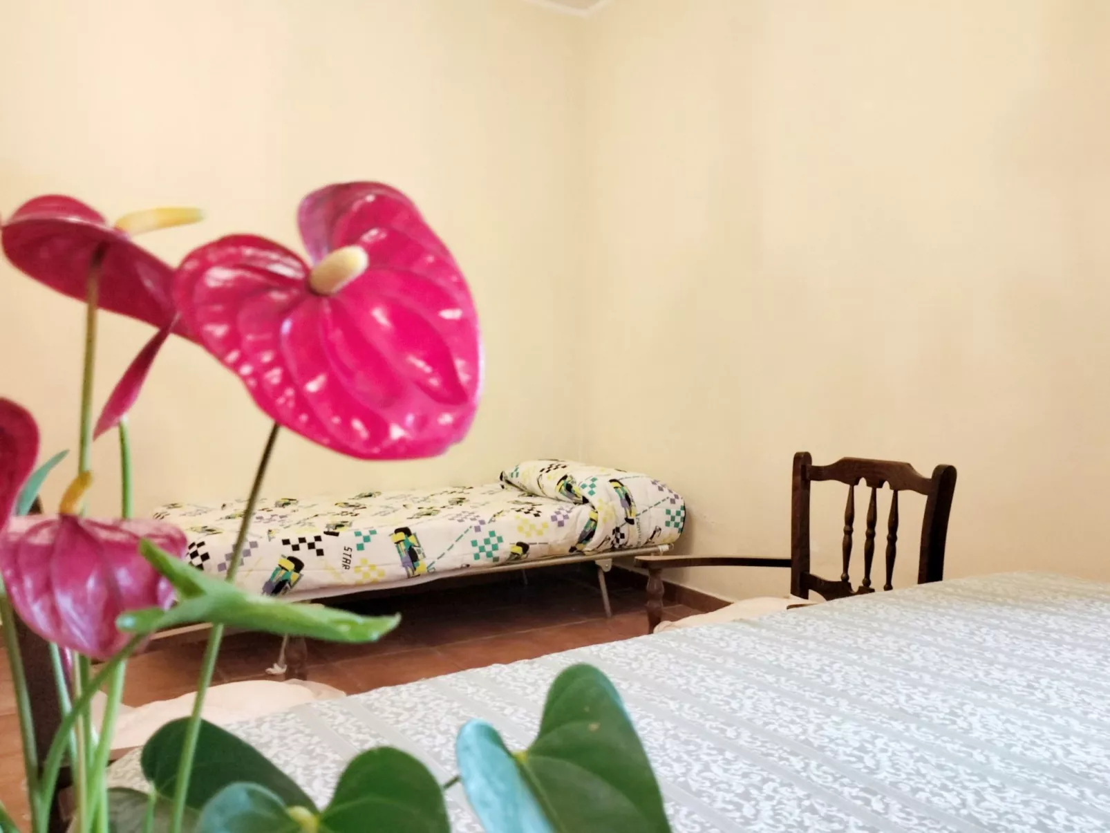 Wohnung Gli Archi del Casolare-Binnen