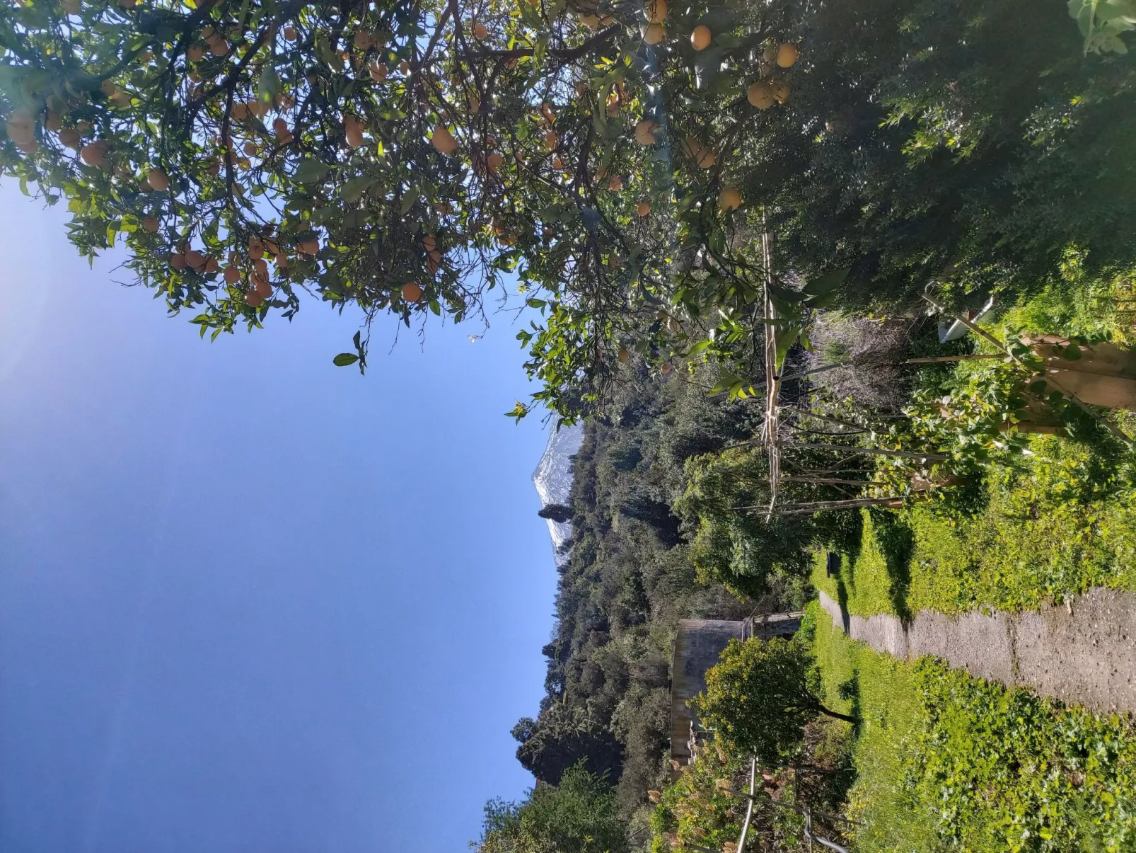 FW Cueva del Viento-Buiten