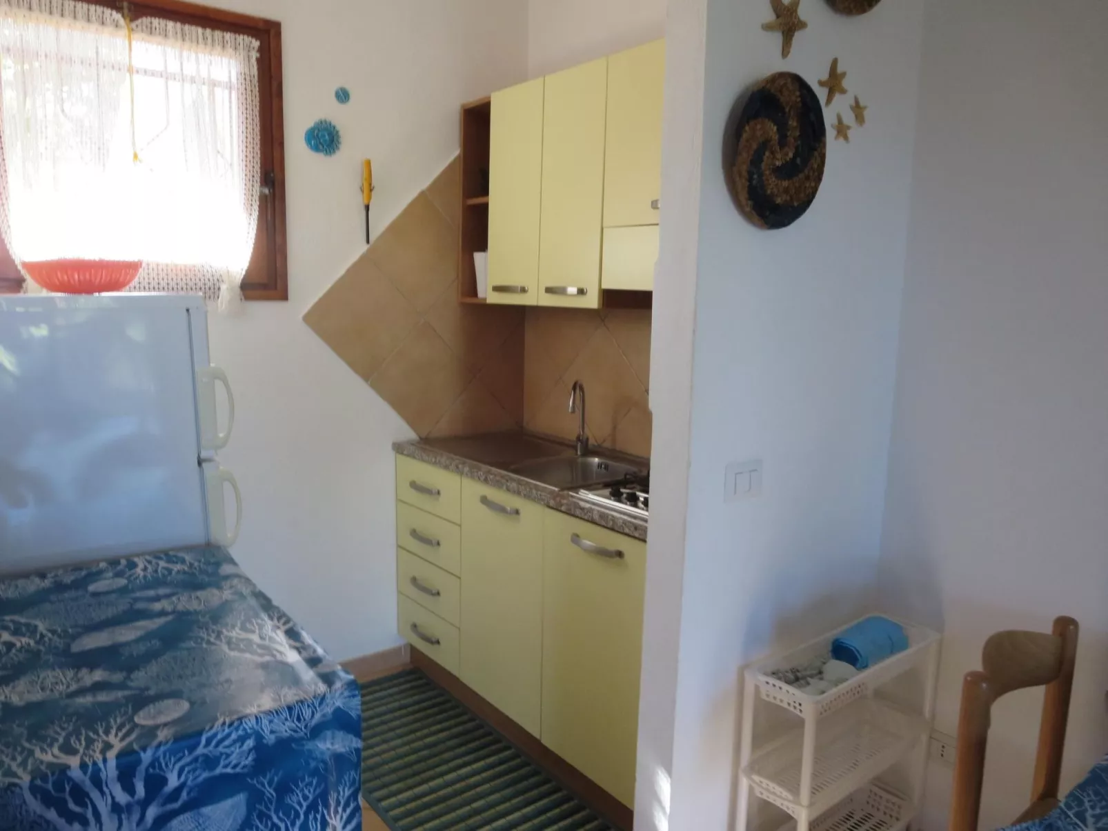 Trilo Alex-Image-tags.info