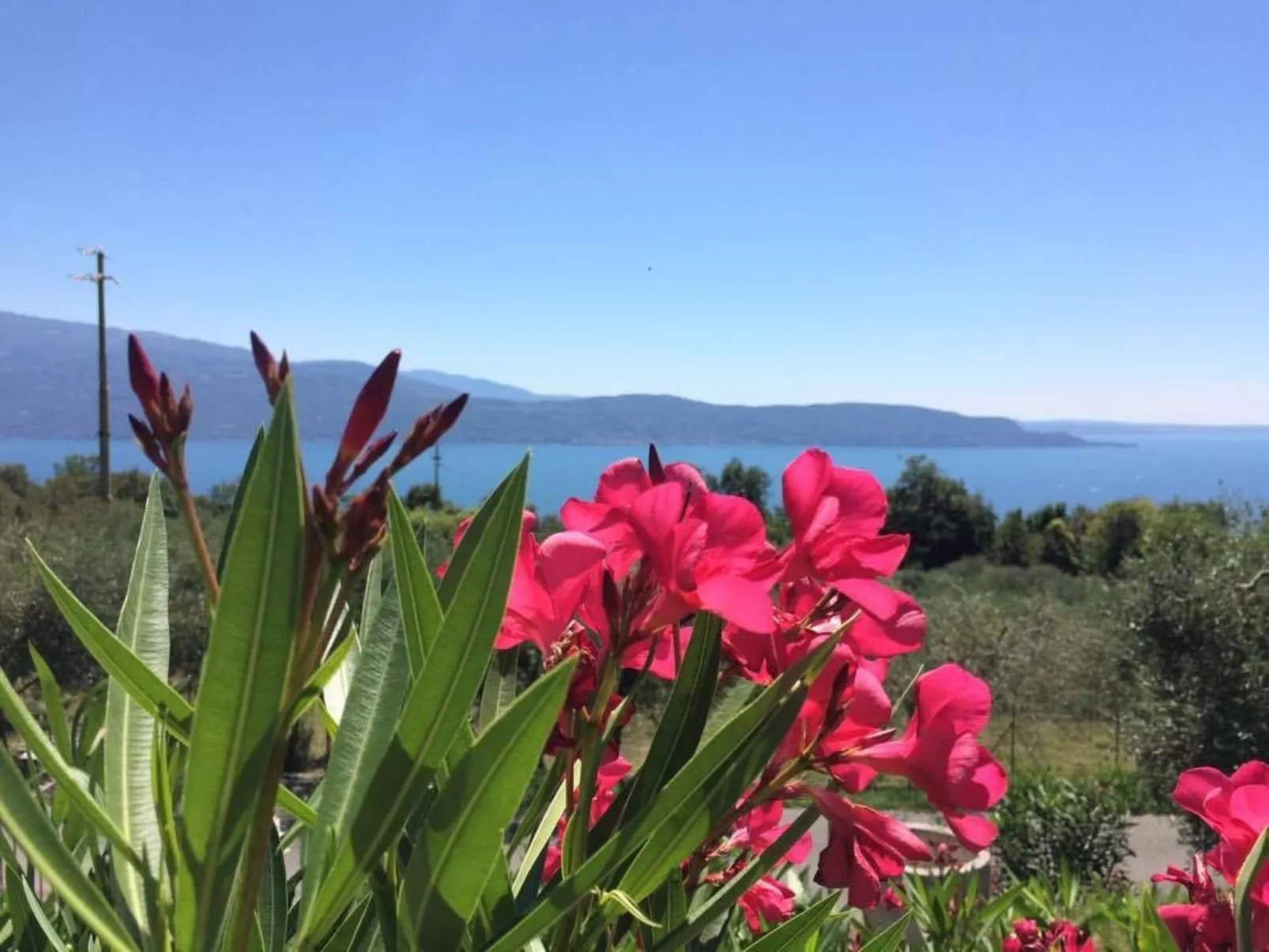 Wohnung Casello-Buiten