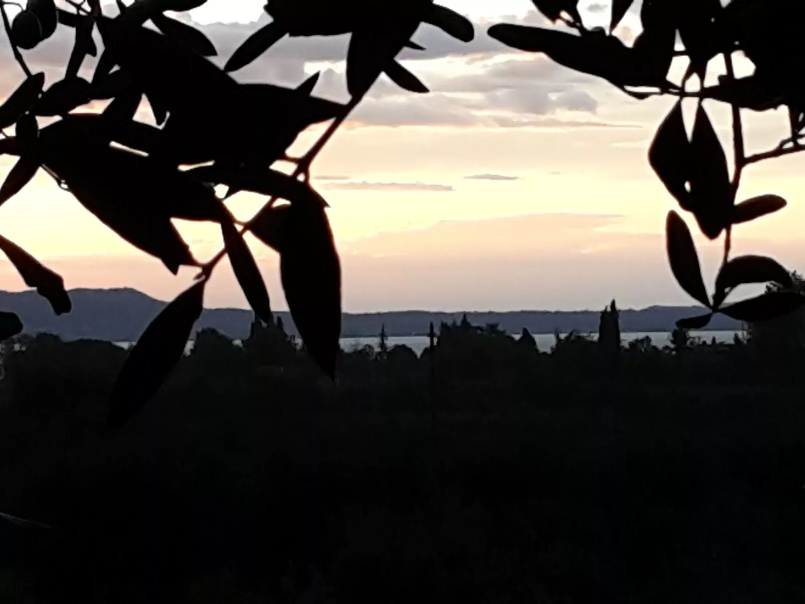 Piccola Perla - Buiten