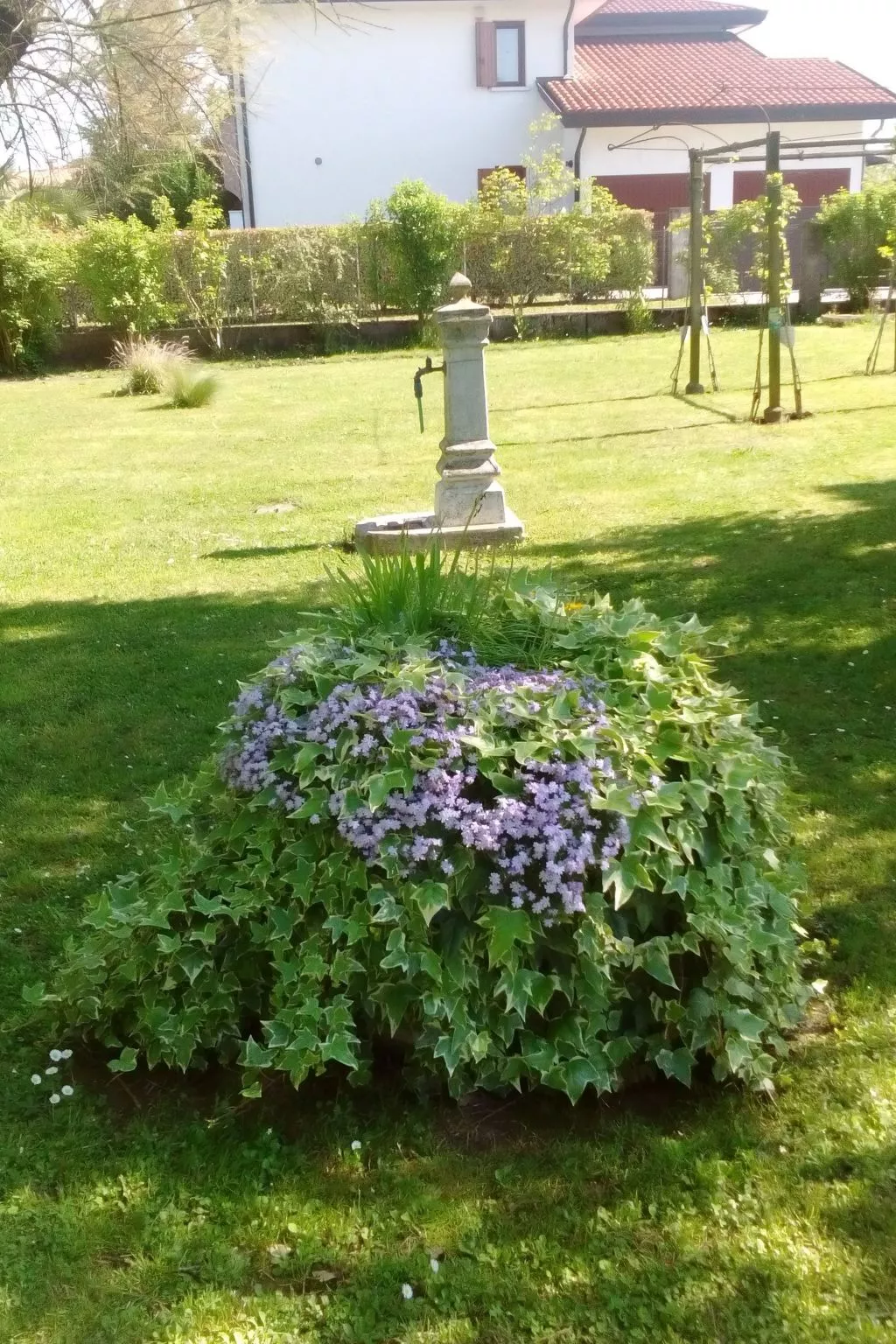 Auf einem ummauerten Grundstück