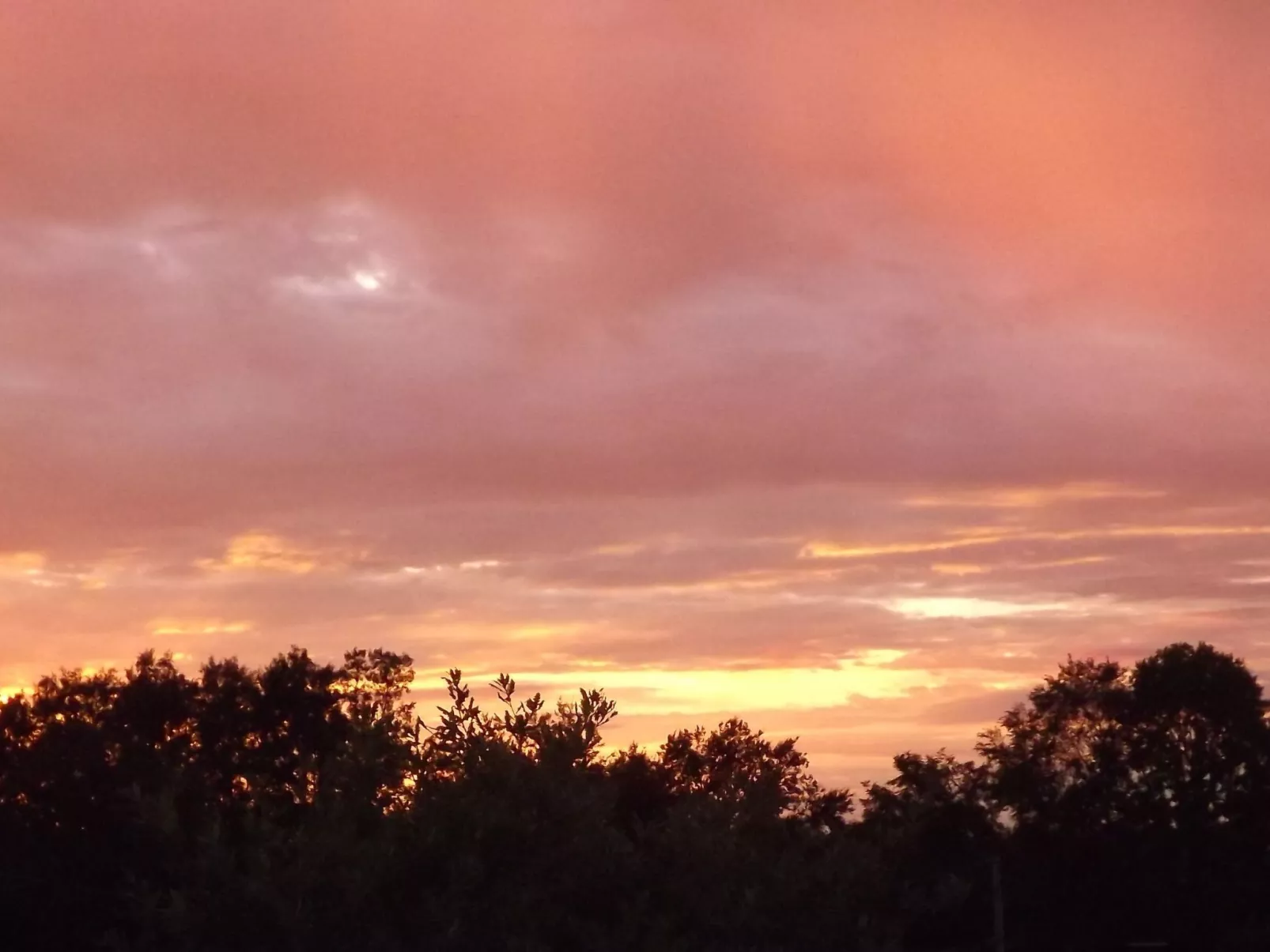 Flache Linde-Image-tags.info