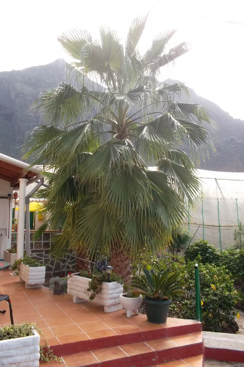 Haus El Cardón A2-Buiten