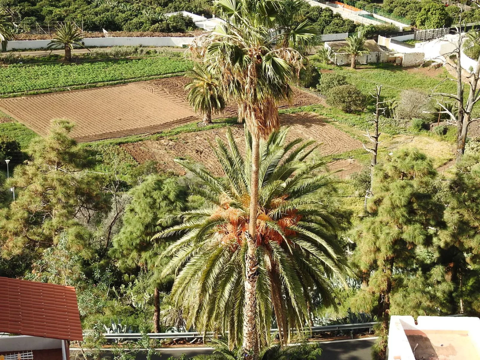 Haus mit beheiztem Schwimmbad, Berg- und Meerbli-Buiten