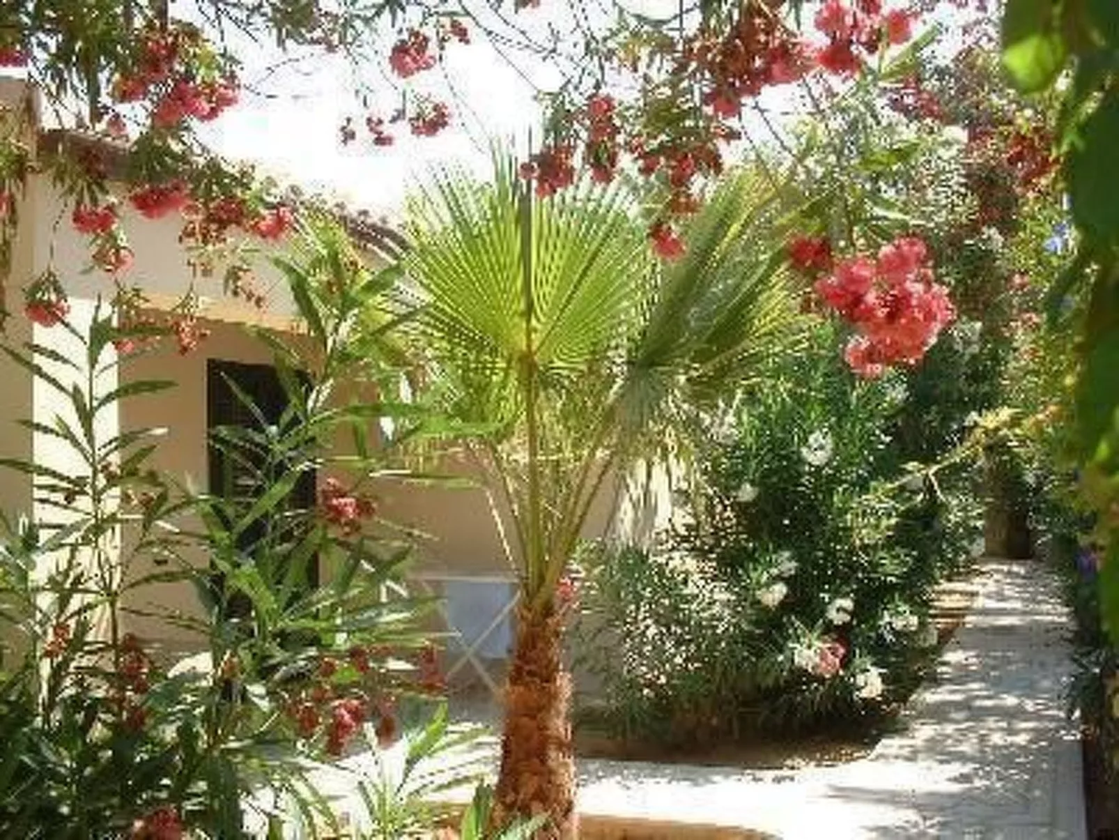 La Perla 5-Image-tags.info