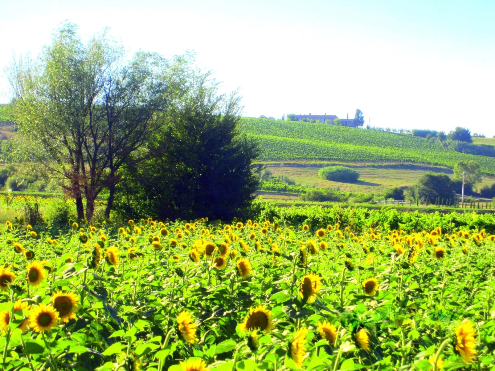 Charmante Wohnung mit privatem Garten-Image-tags.info