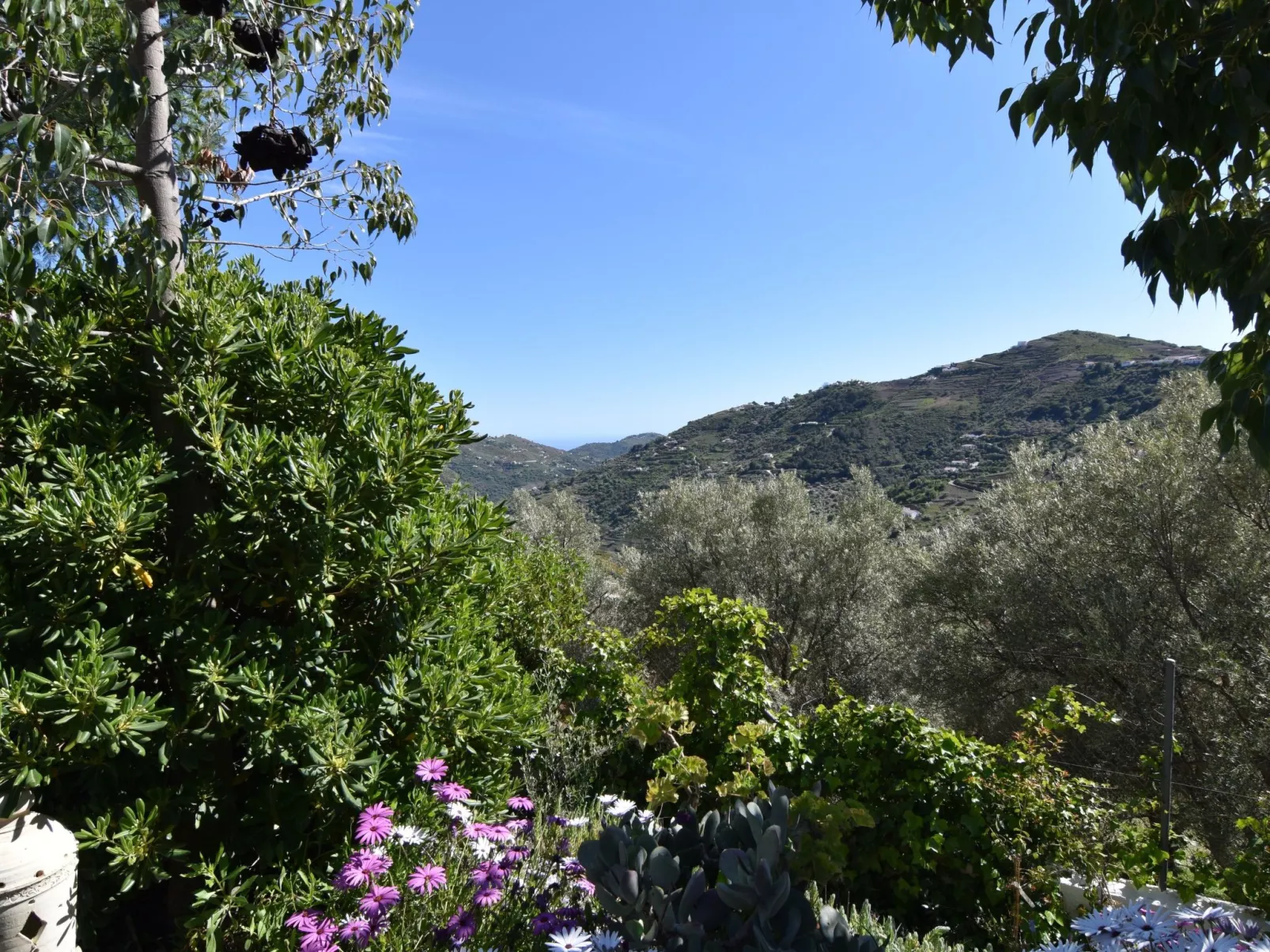 Finca El Corinto - Ein verwunschener Ort