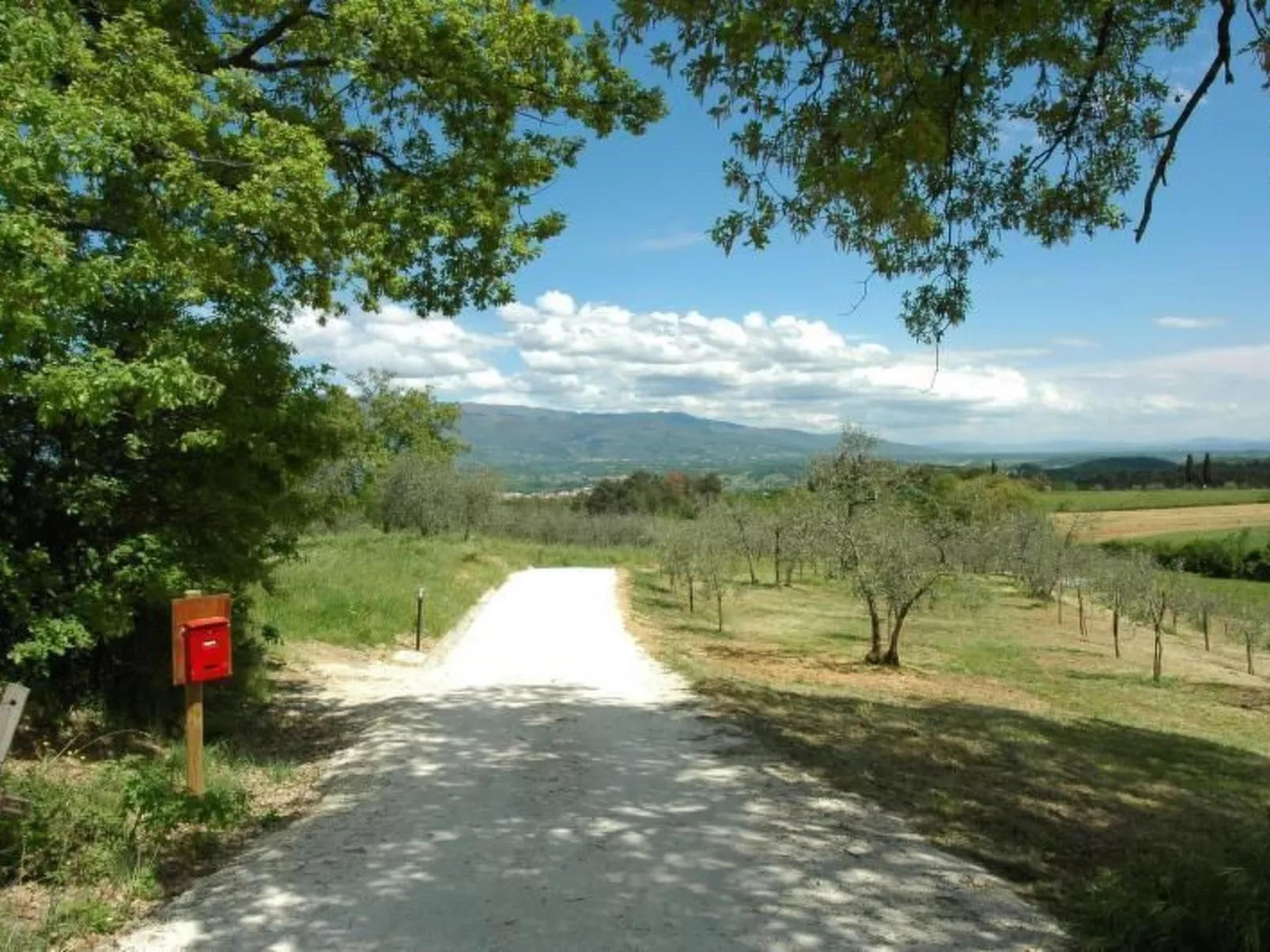 Apartment Rosa Canina (Wilde Rose)-Buiten