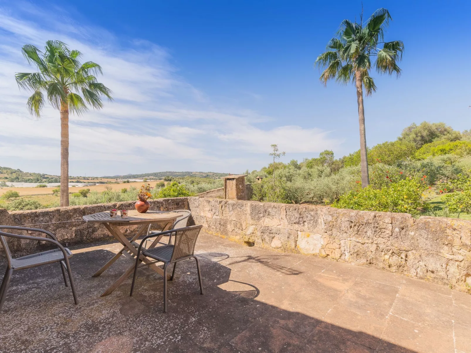 "Murtera-Image-tags.info