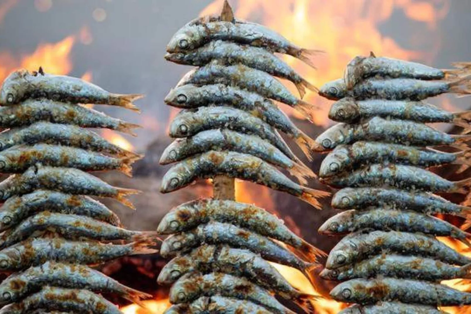 Costa Brisas Almayate-Gebieden zomer 1km