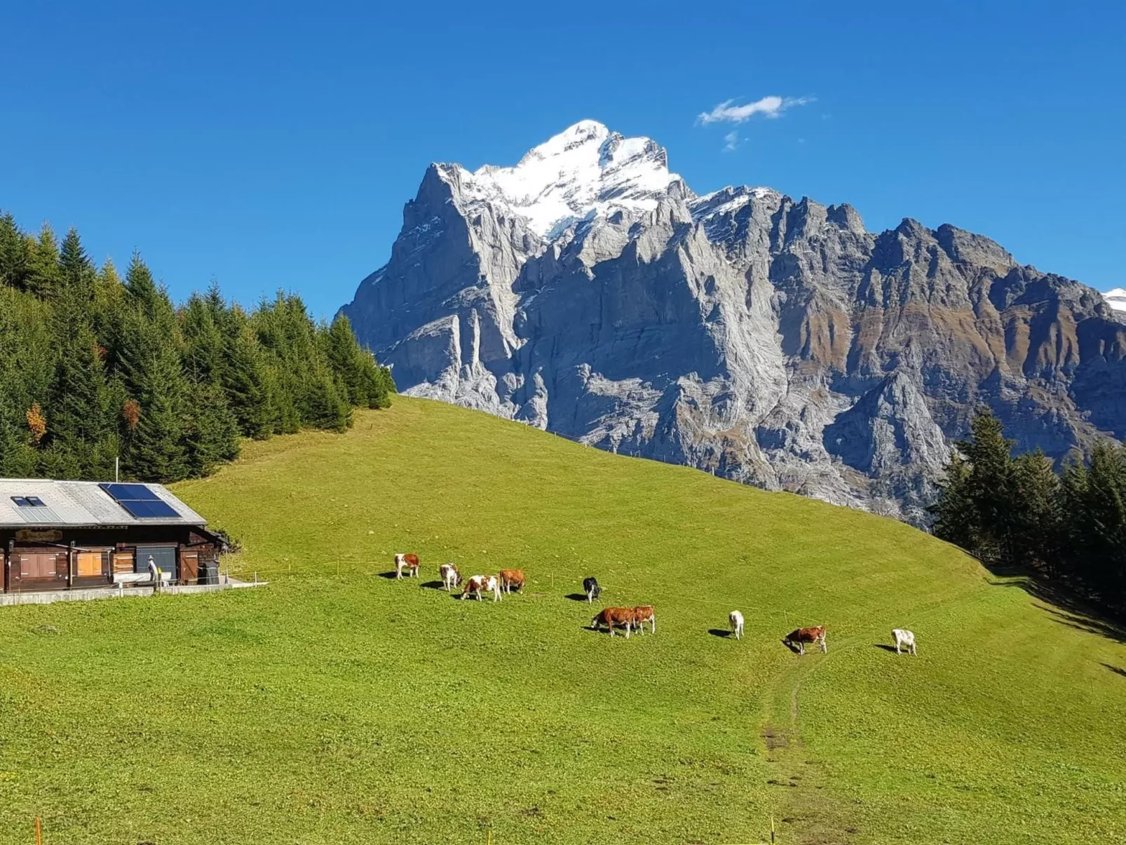 Chalet Gletscherfloh-Buiten