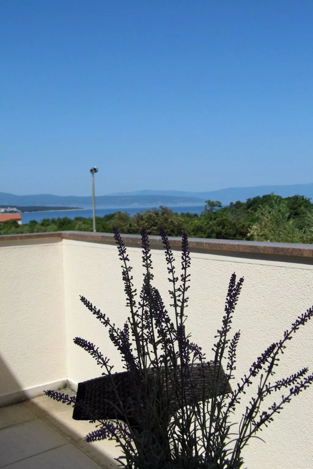 Mit Blick auf das Wasser-Image-tags.info