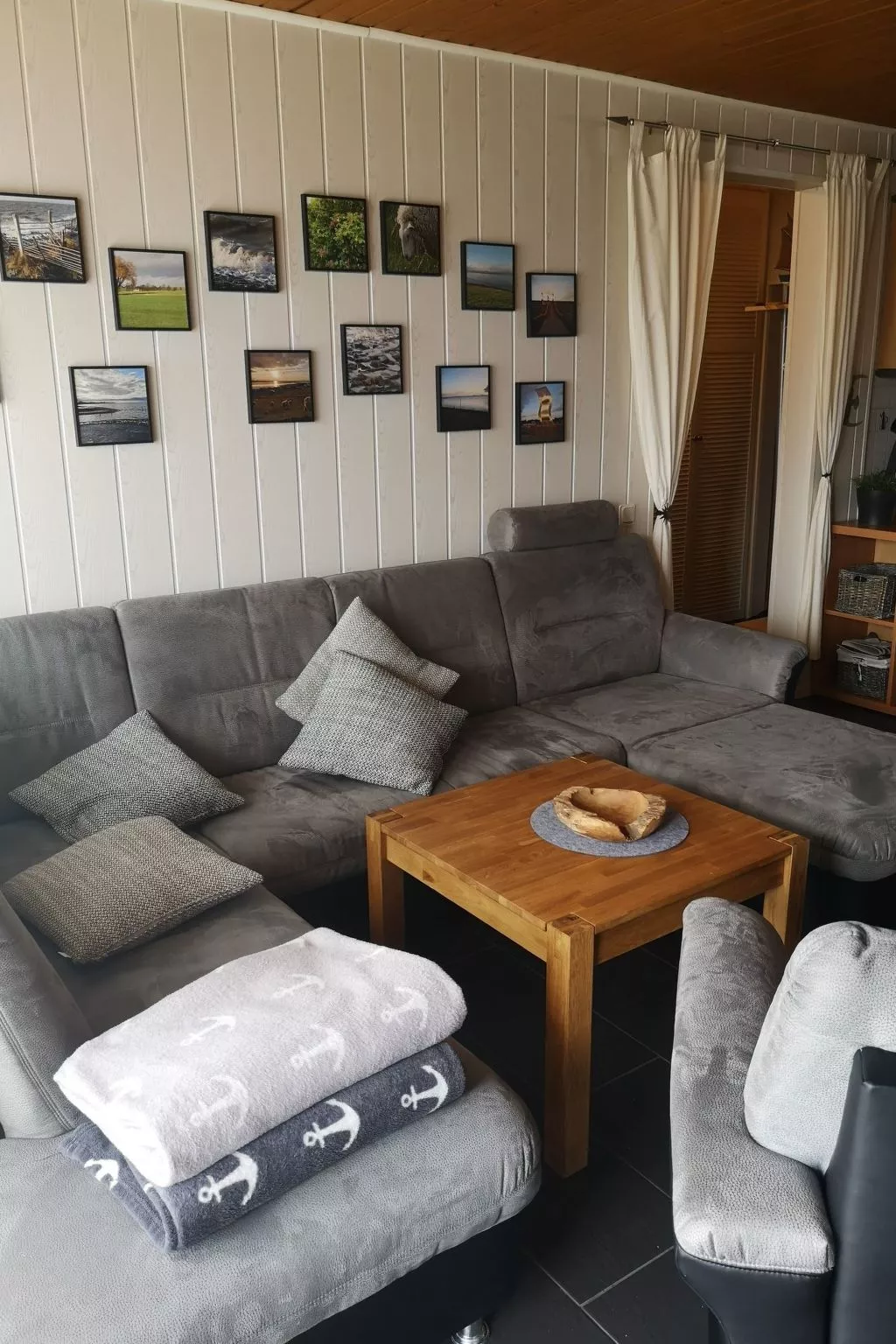 Lachmöwe-Image-tags.info