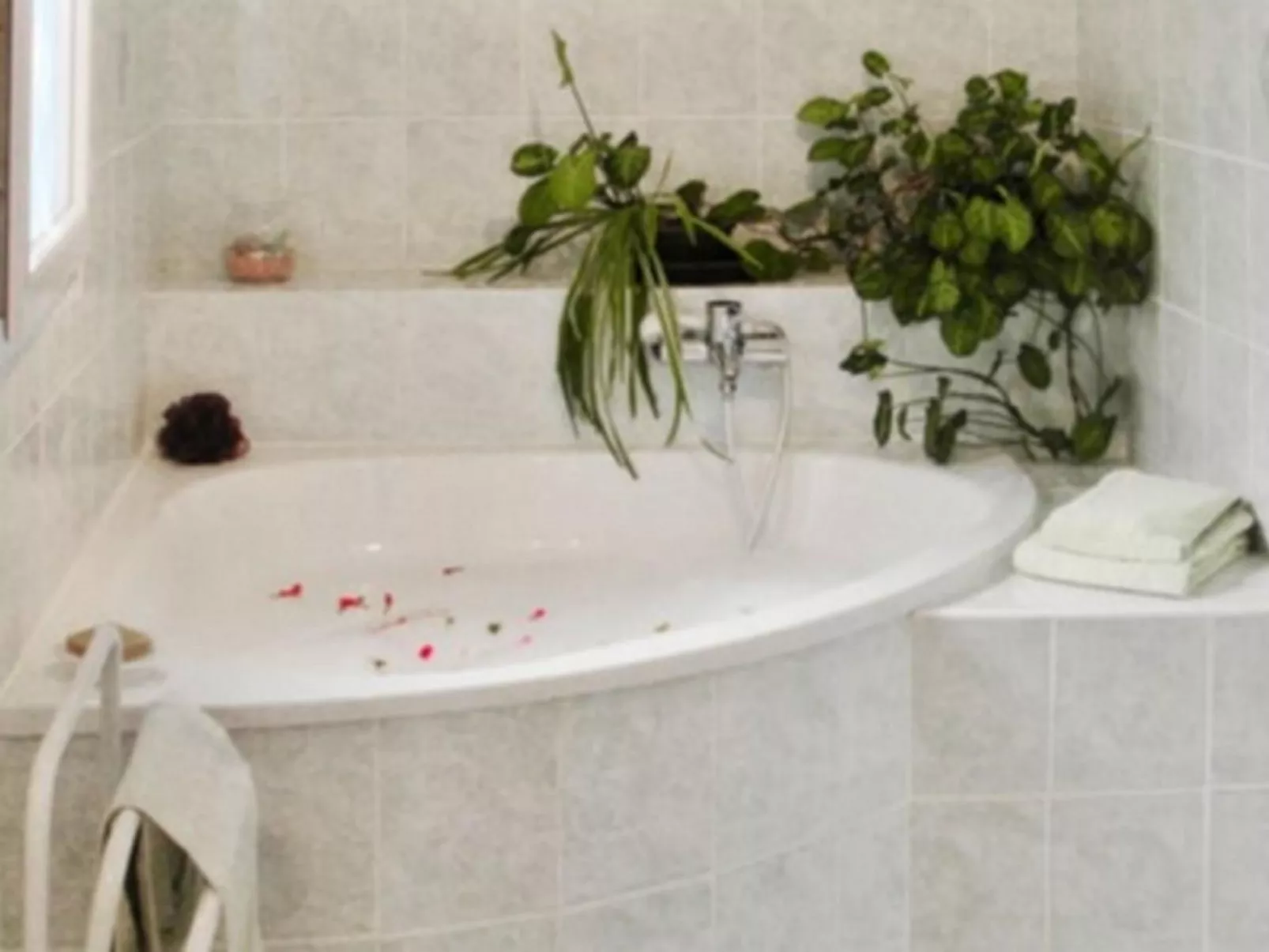 Mit Blick auf das Wasser-Binnen