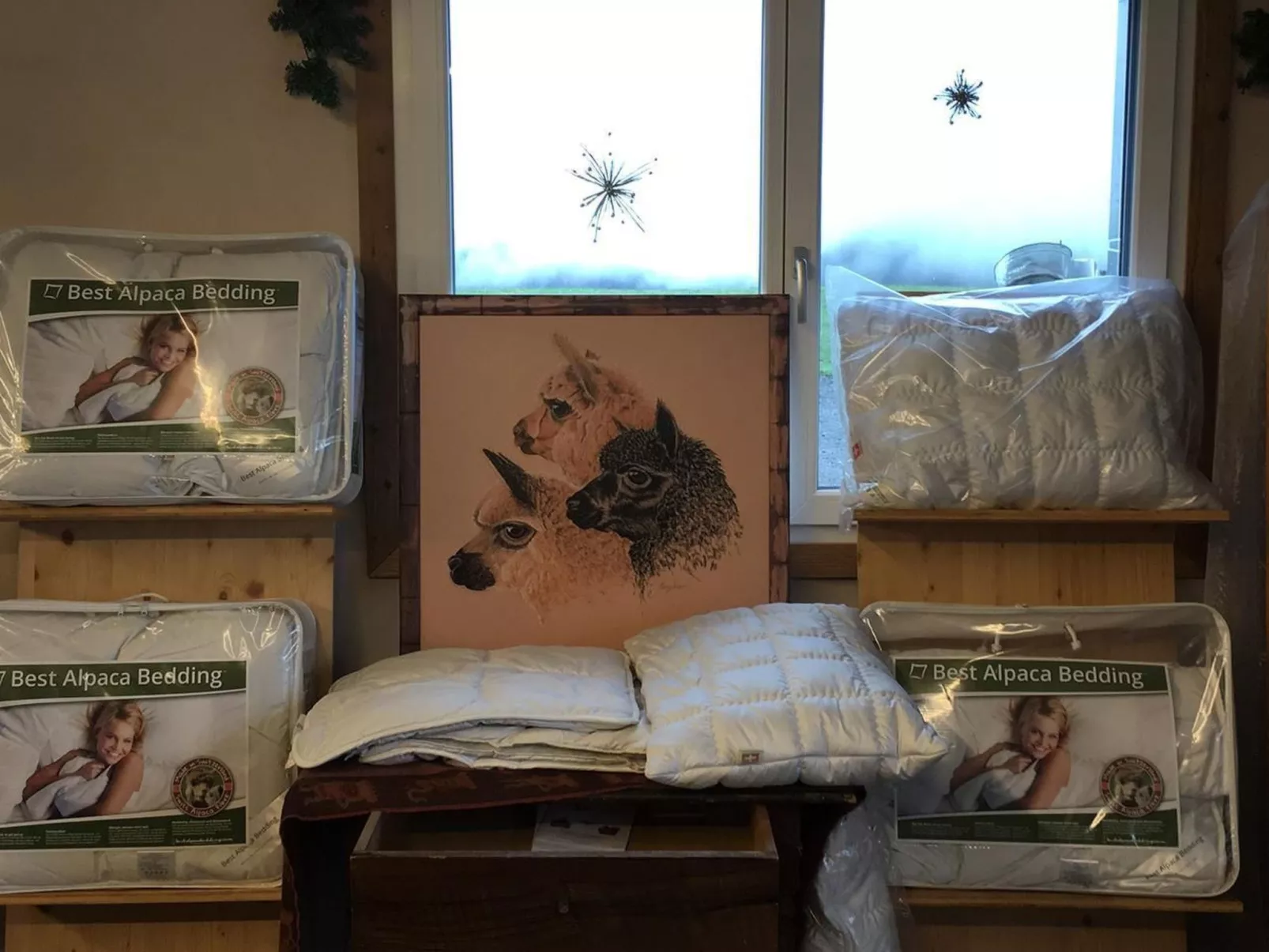 Alpakahof Ferien-Binnen