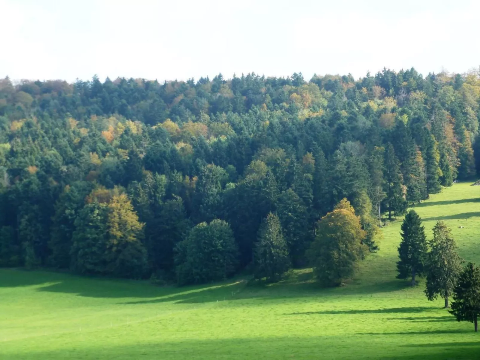 Chalet Désir, Lajoux-Buiten