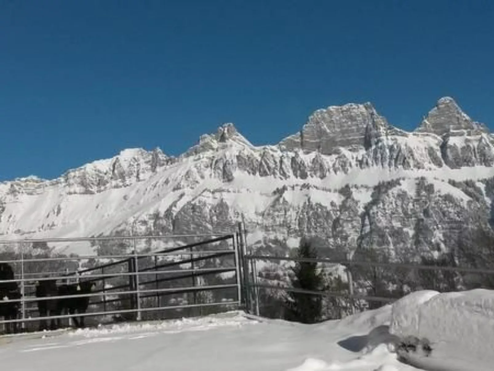 Fäsch-Image-tags.info