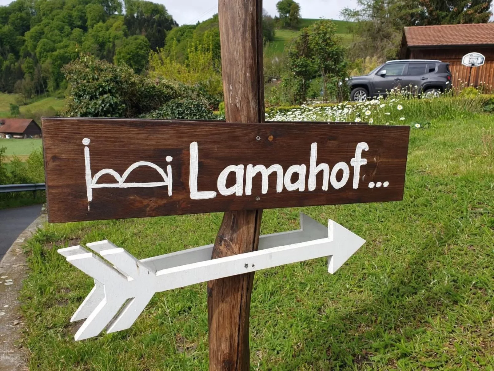 Lamahof